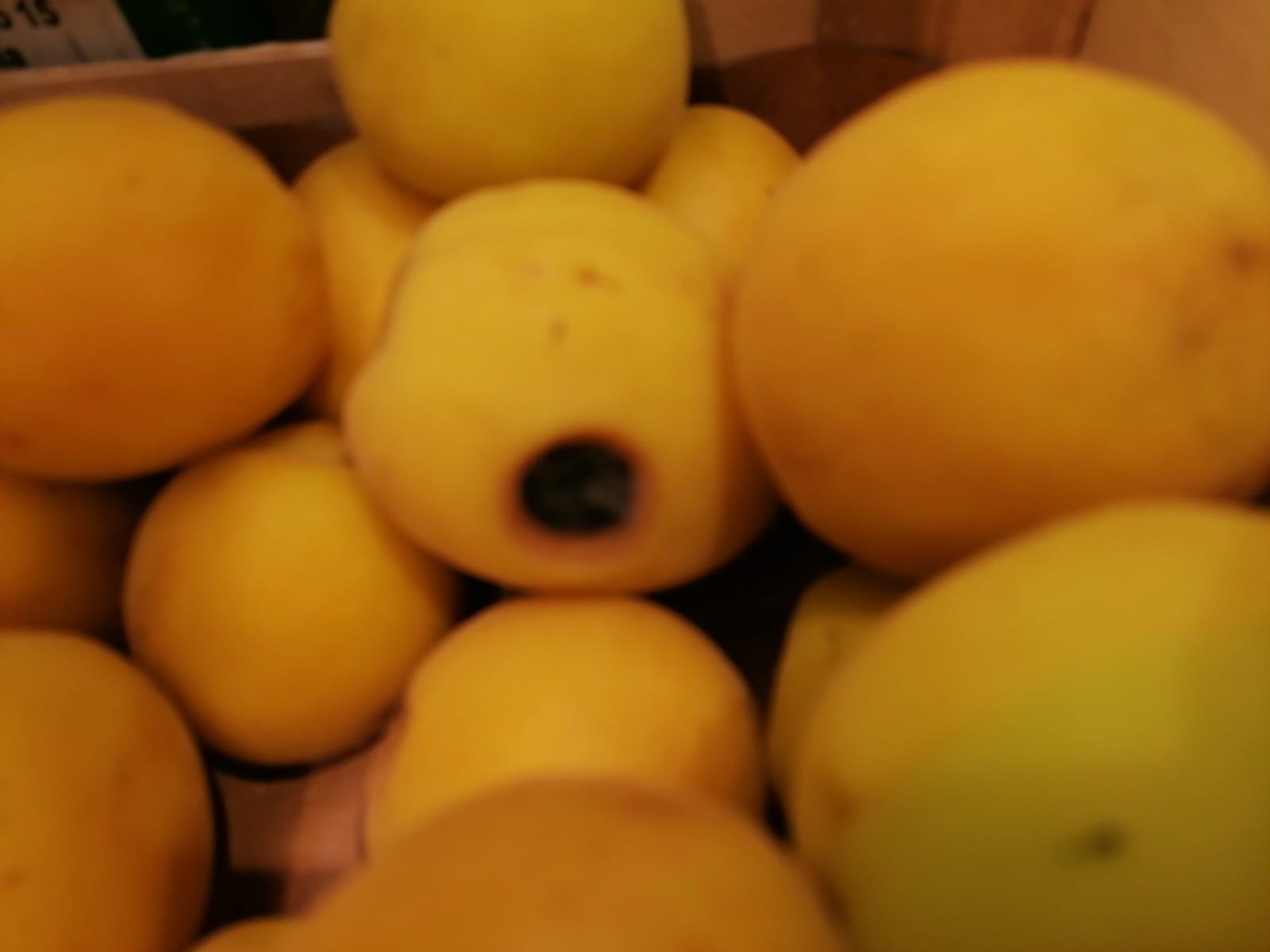 WhatsApp Image 2022-08-24 at 16.31.41