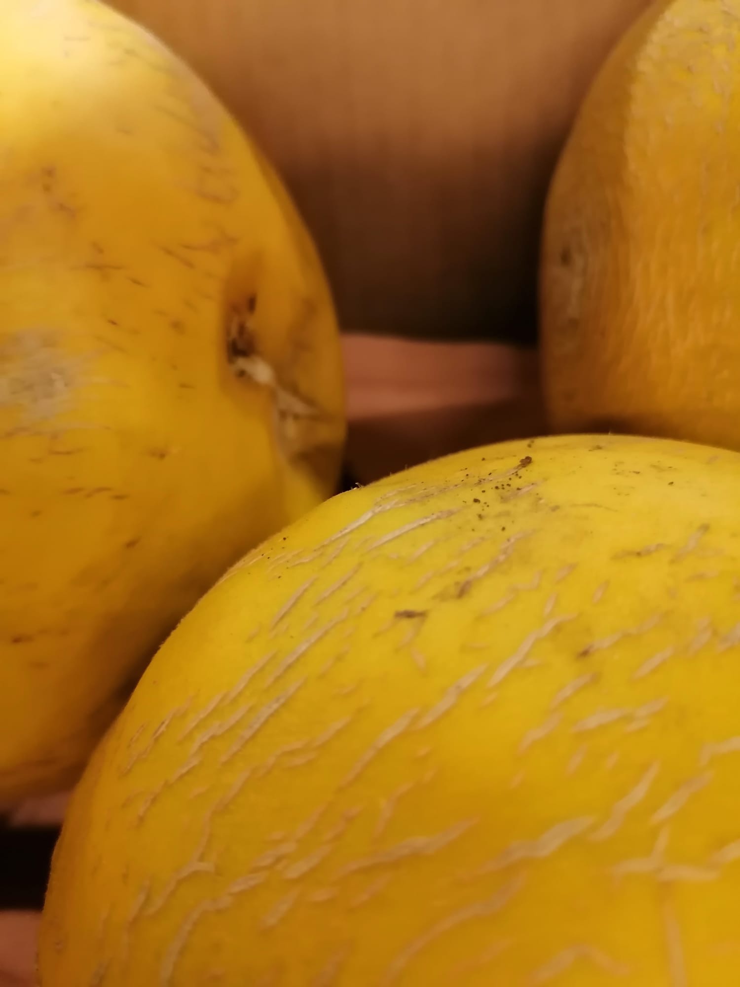 WhatsApp Image 2022-08-24 at 16.31.44 (1)