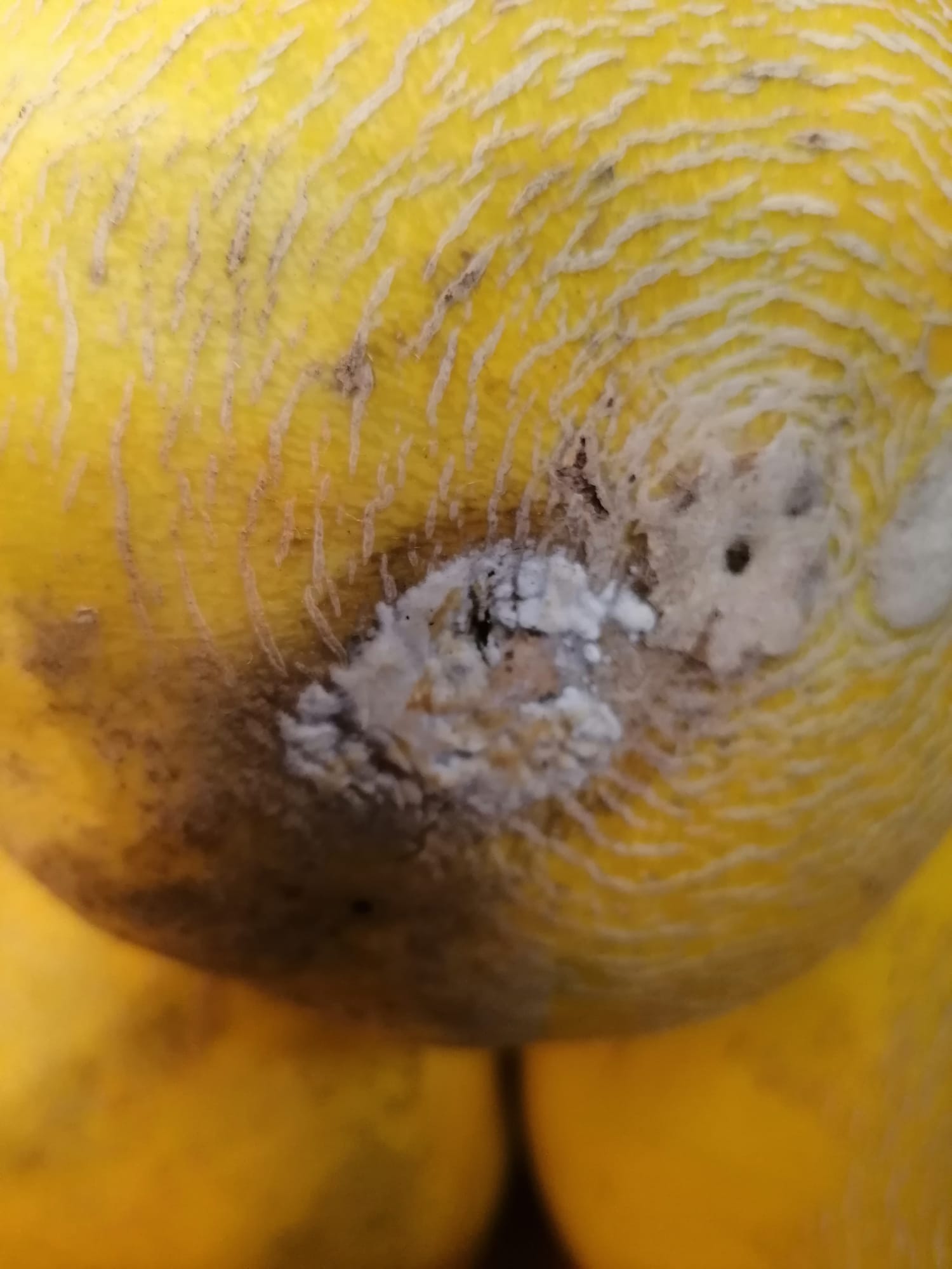 WhatsApp Image 2022-08-24 at 16.31.44 (2)