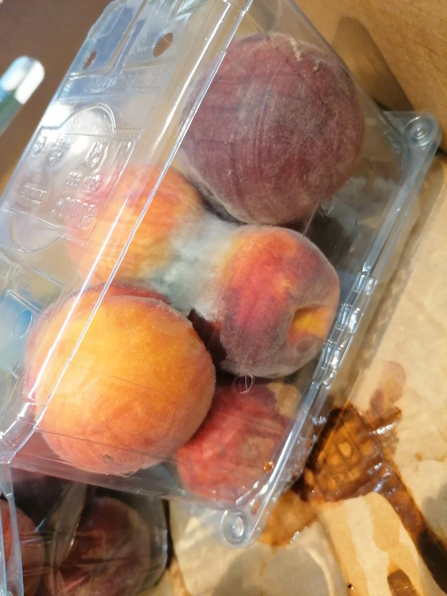 WhatsApp Image 2022-08-24 at 16.31.45 (1)