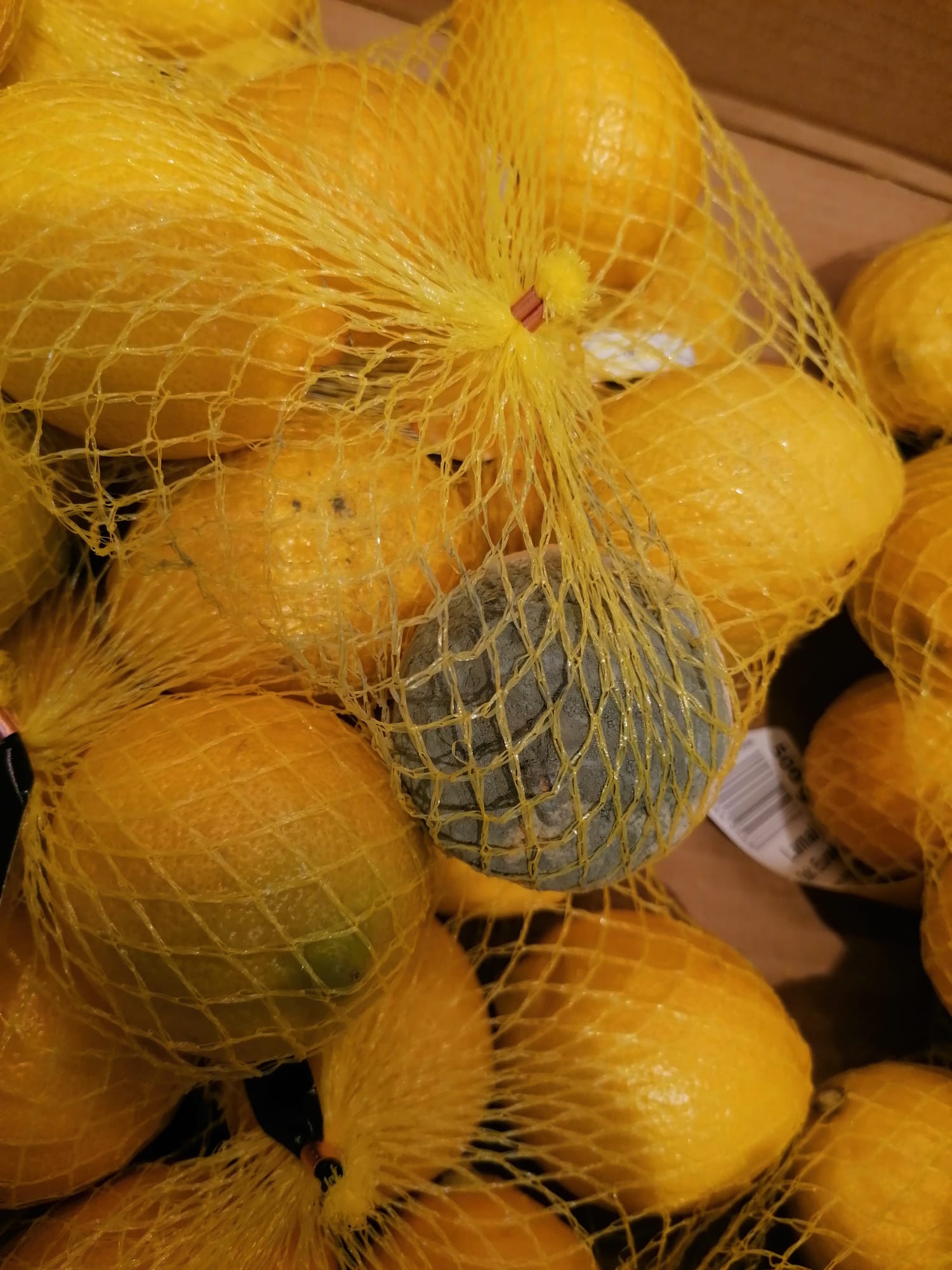 WhatsApp Image 2022-08-24 at 16.31.45