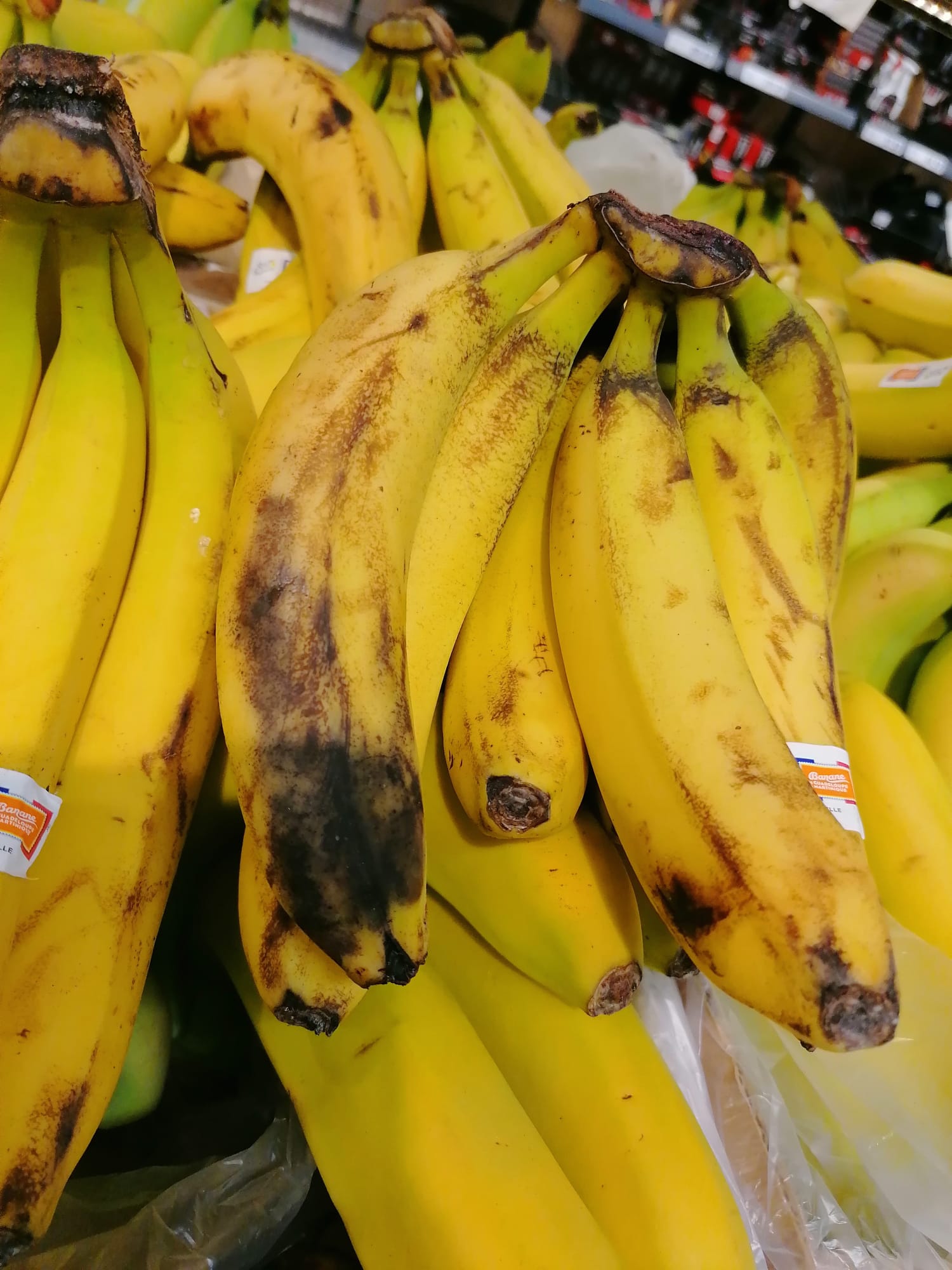 WhatsApp Image 2022-08-24 at 16.31.46 (1)