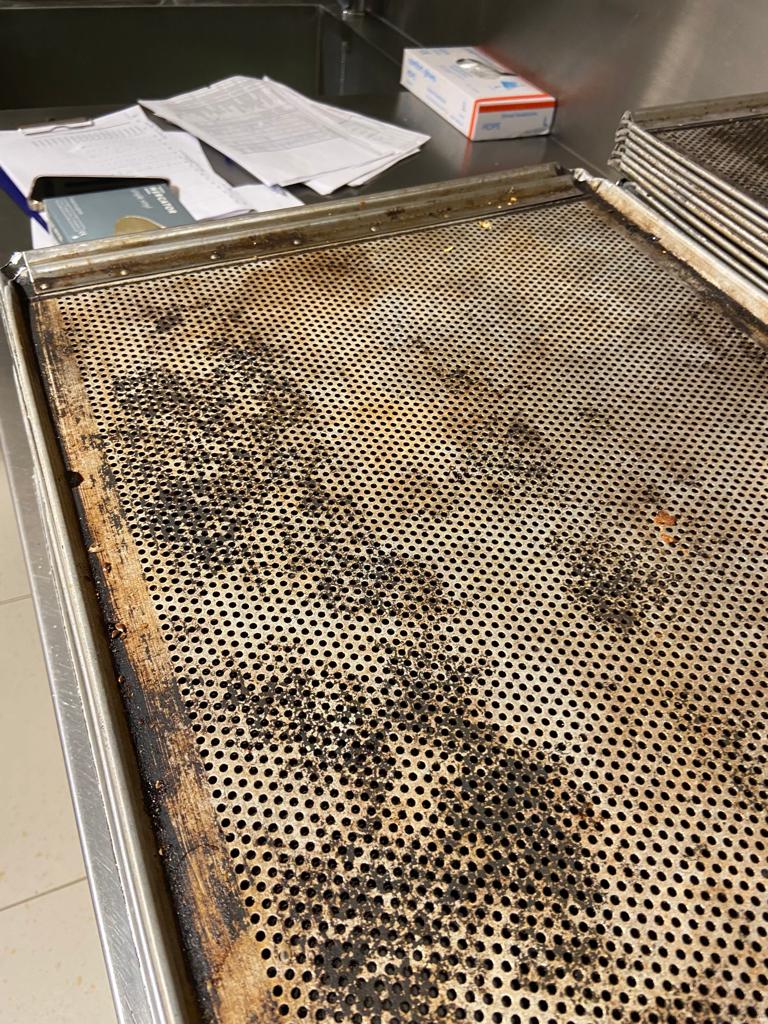 WhatsApp Image 2022-08-24 at 16.31.46