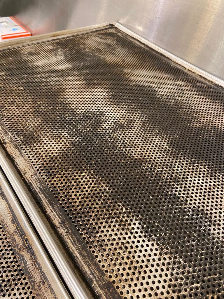 WhatsApp Image 2022-08-24 at 16.31.47