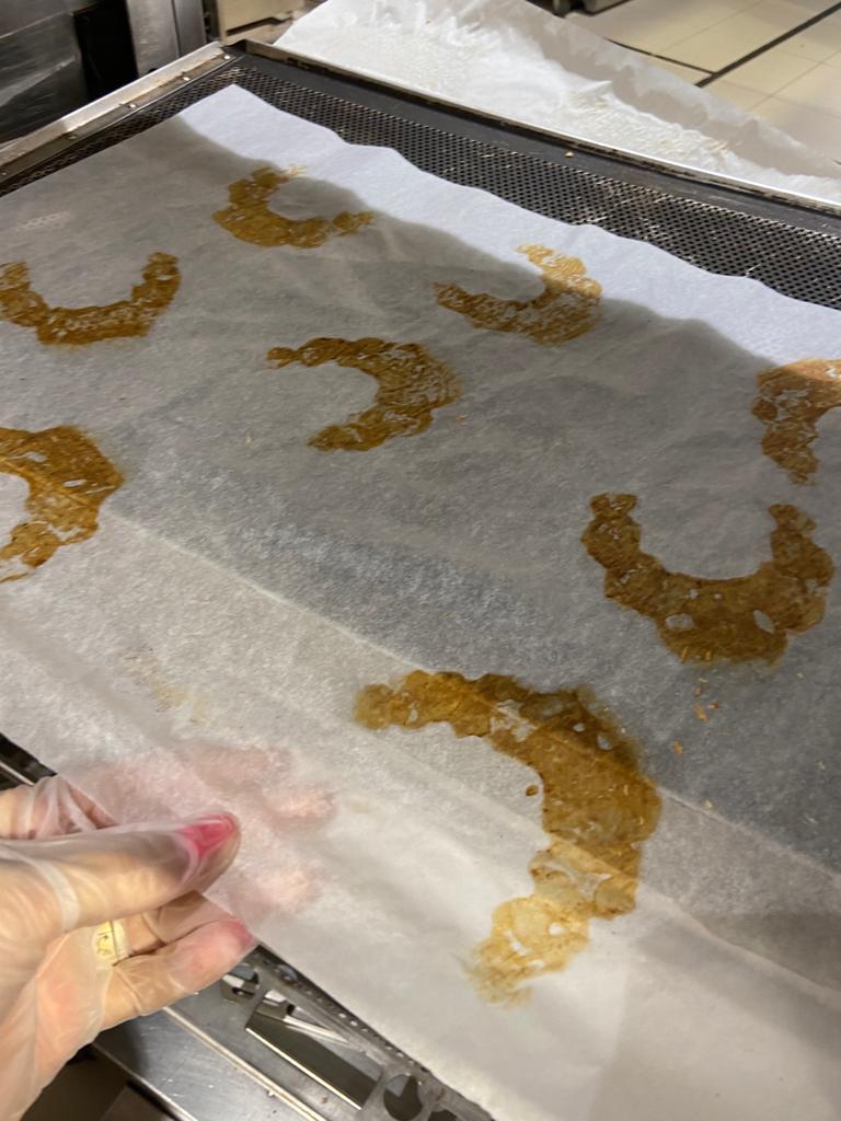 WhatsApp Image 2022-08-24 at 16.31.49 (1)