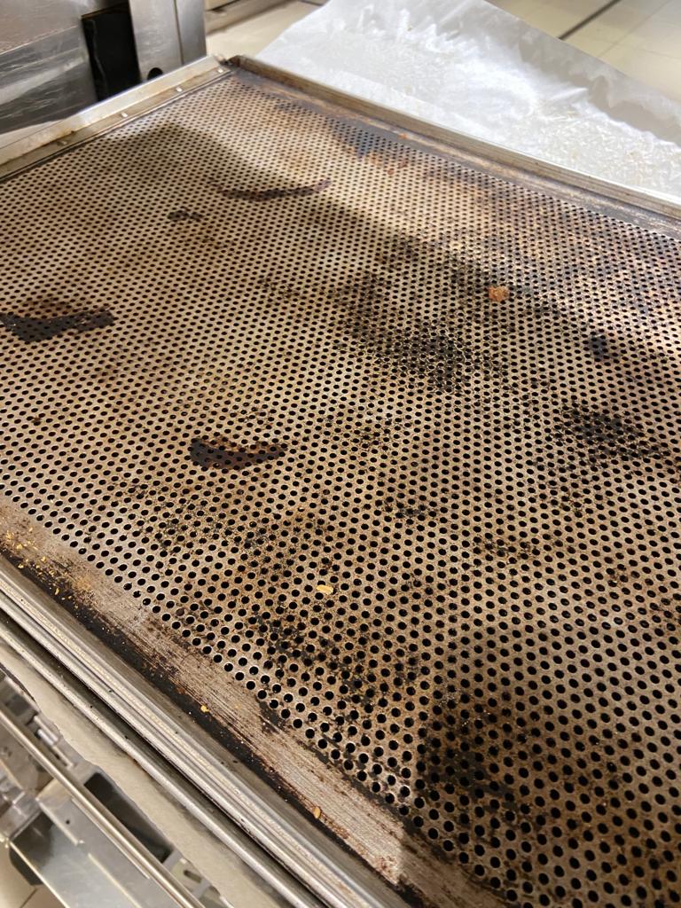 WhatsApp Image 2022-08-24 at 16.31.50