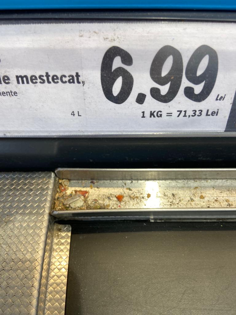 WhatsApp Image 2022-08-24 at 16.31.58 (2)