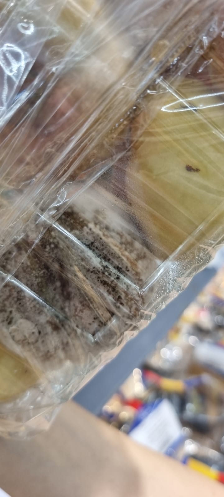 WhatsApp Image 2022-08-24 at 16.32.09 (1)