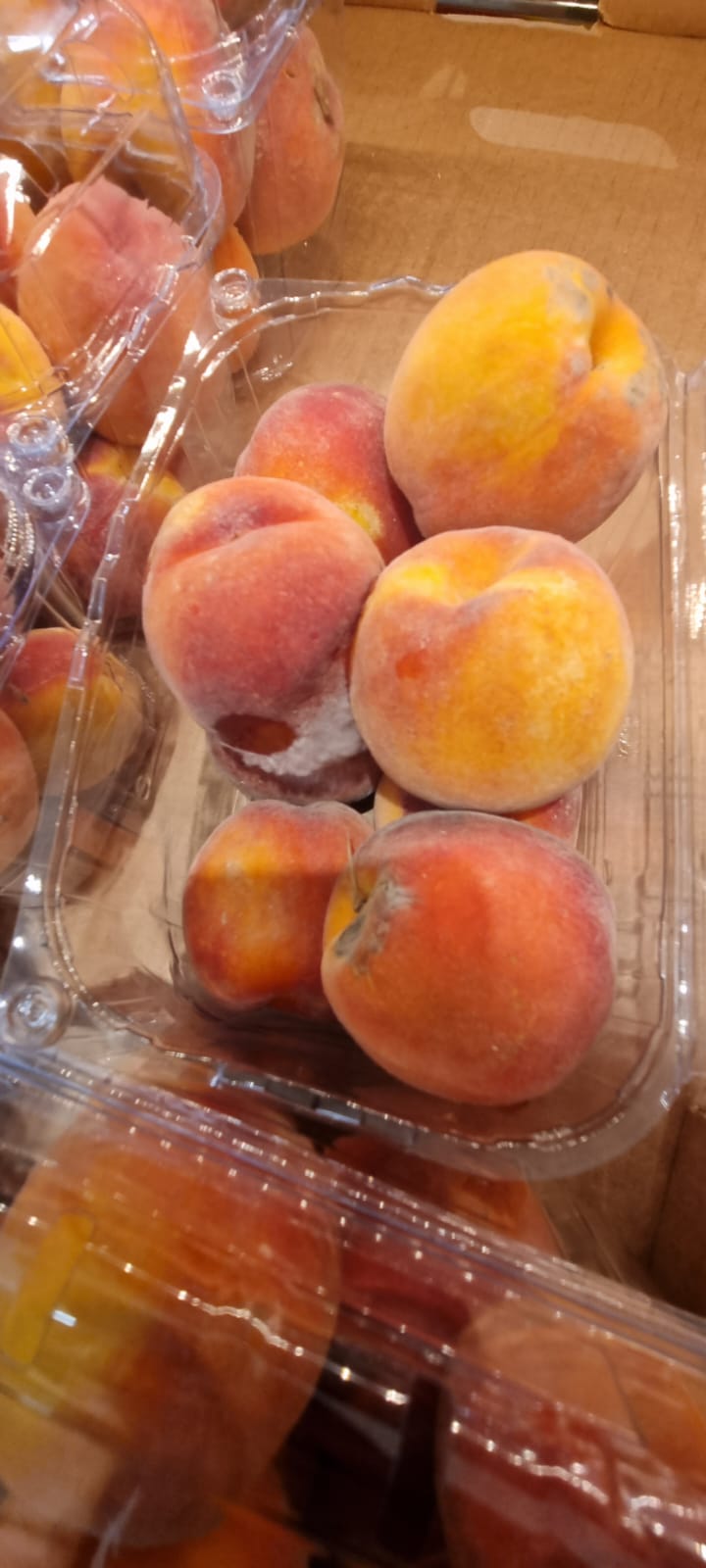 WhatsApp Image 2022-08-24 at 16.32.09