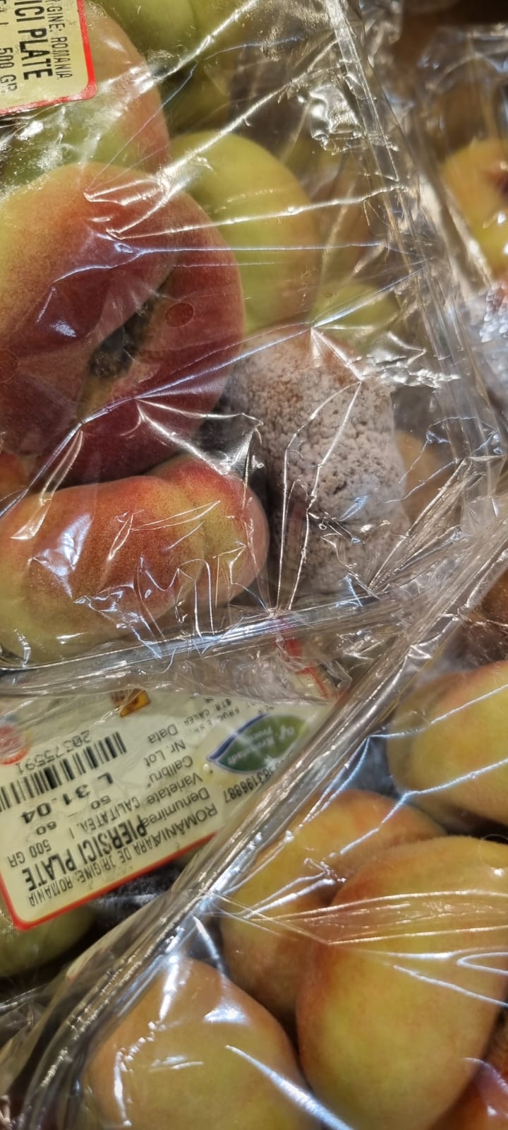 WhatsApp Image 2022-08-24 at 16.32.10