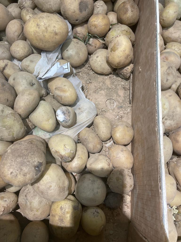 WhatsApp Image 2022-08-24 at 16.32.11 (3)