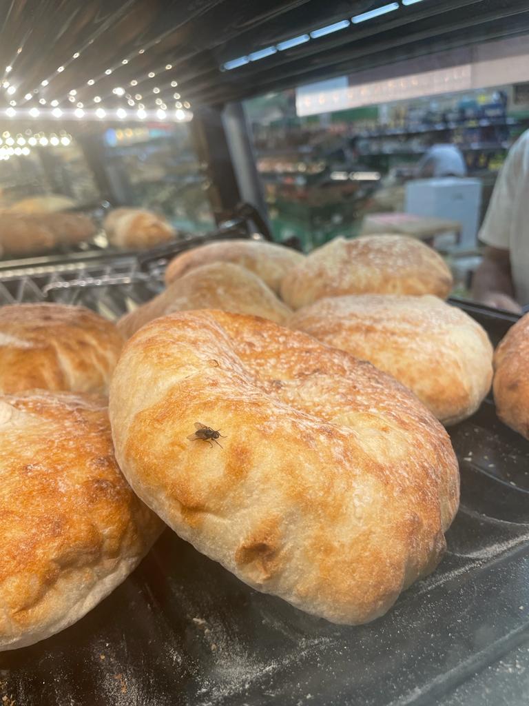 WhatsApp Image 2022-08-24 at 16.32.12 (1)