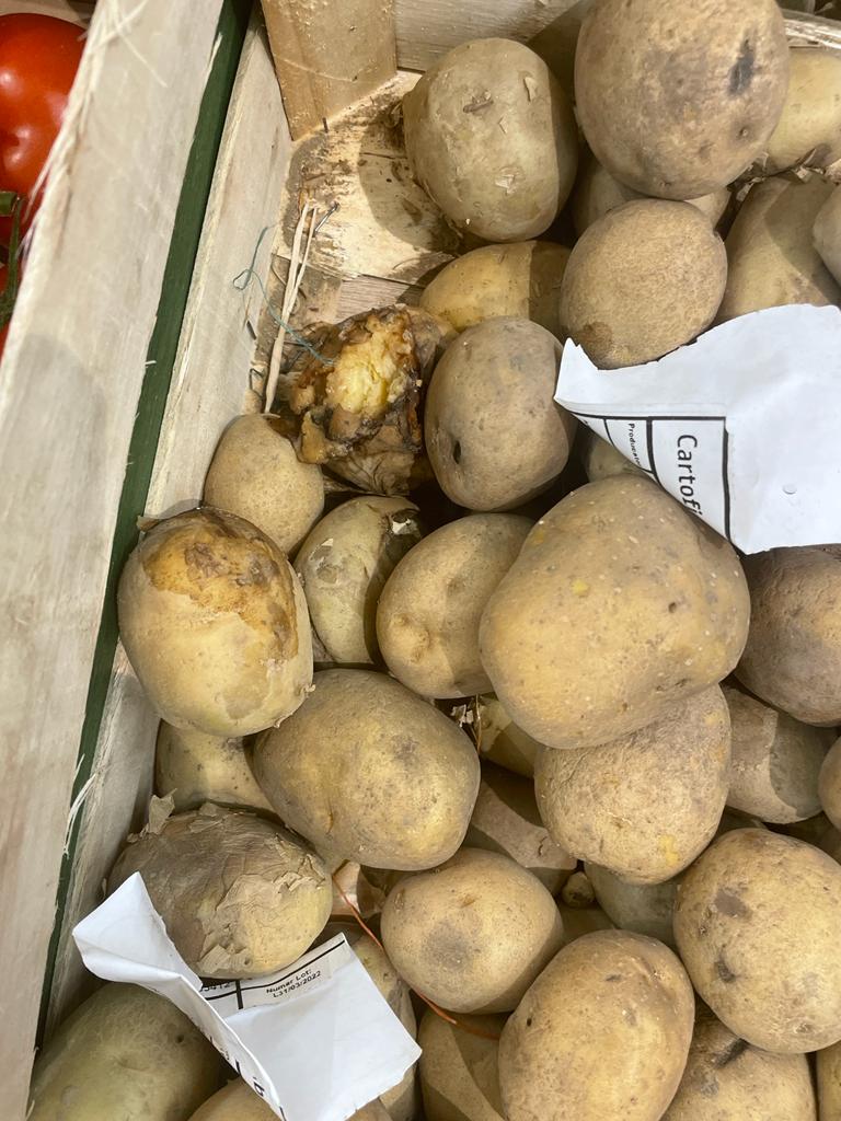 WhatsApp Image 2022-08-24 at 16.32.16 (2)