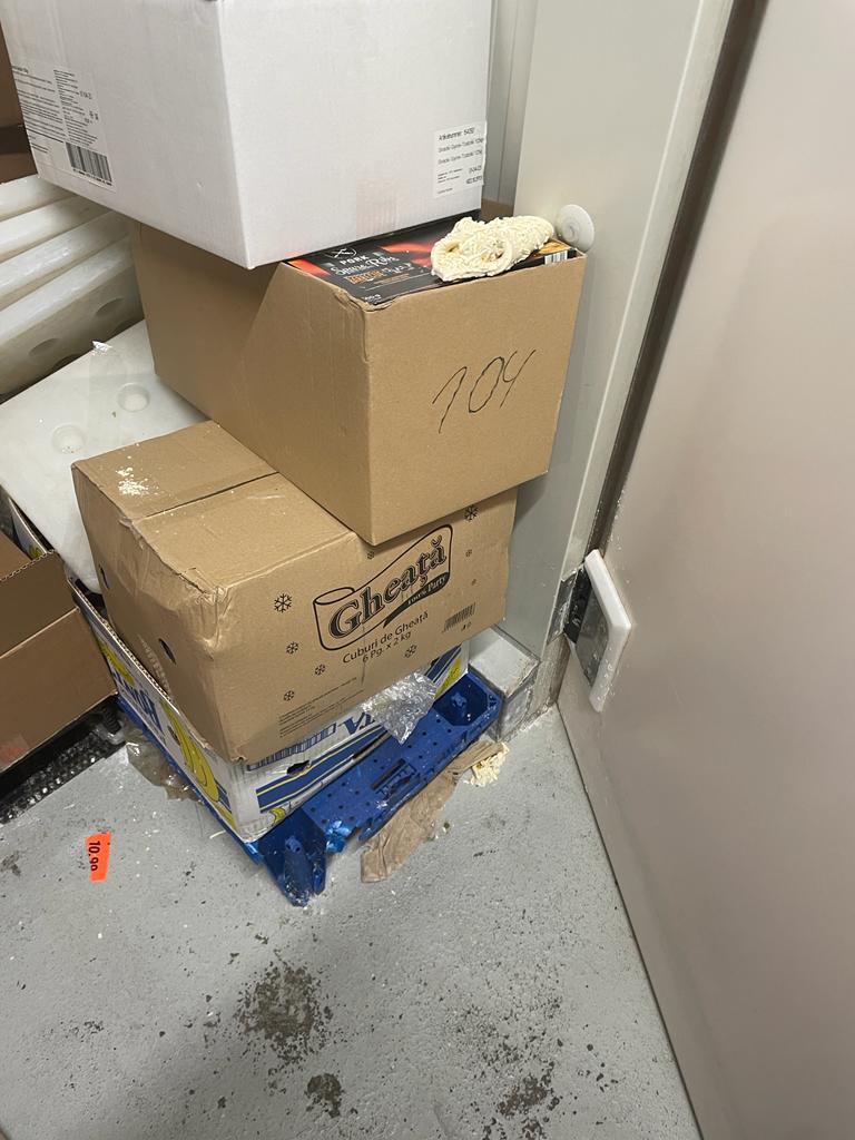 WhatsApp Image 2022-08-24 at 16.32.17