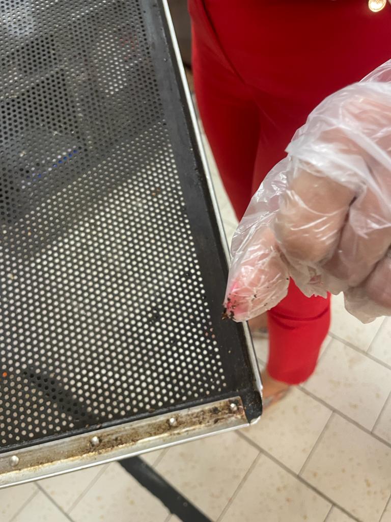 WhatsApp Image 2022-08-24 at 16.32.18 (3)