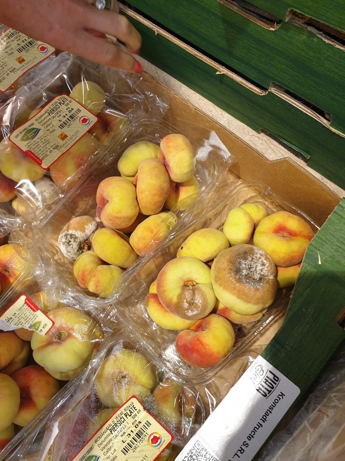 WhatsApp Image 2022-08-24 at 16.32.22