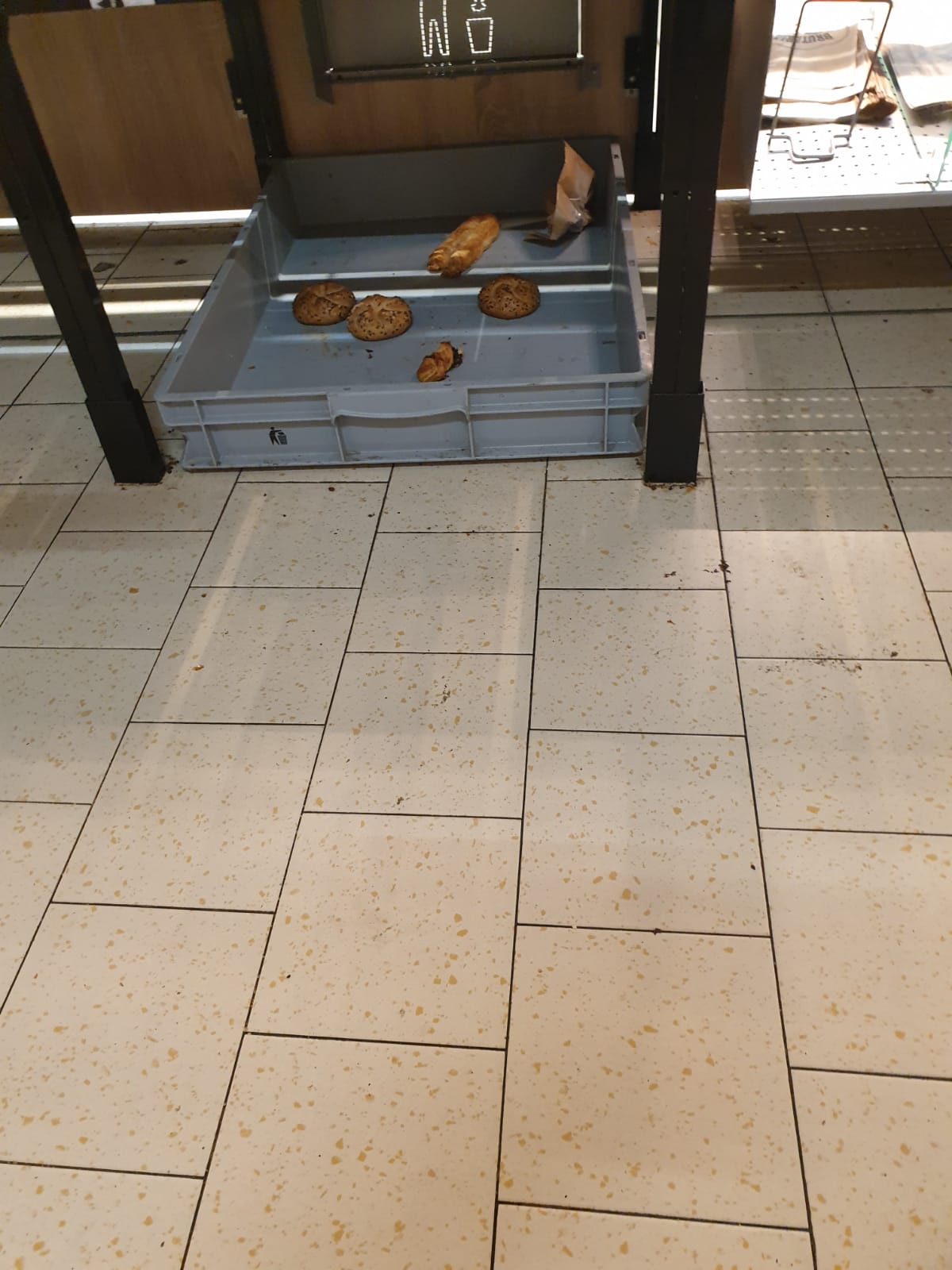 WhatsApp Image 2022-08-24 at 16.32.25