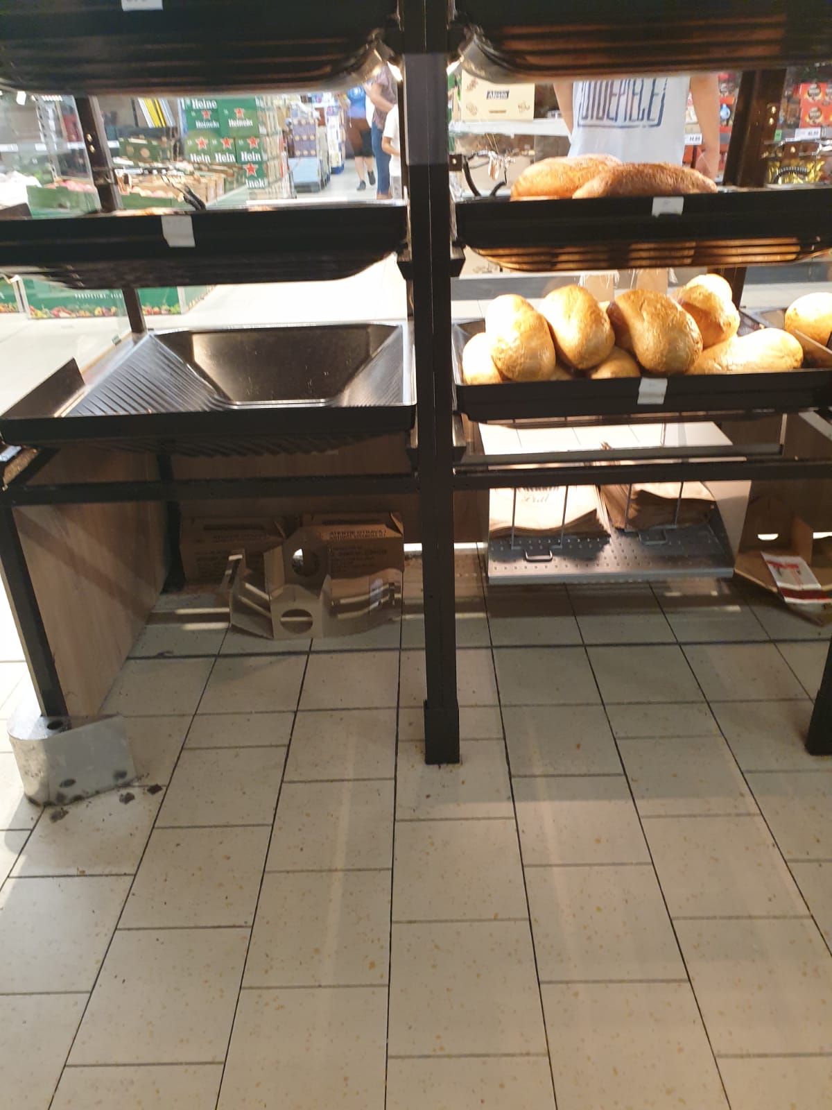 WhatsApp Image 2022-08-24 at 16.32.26 (1)