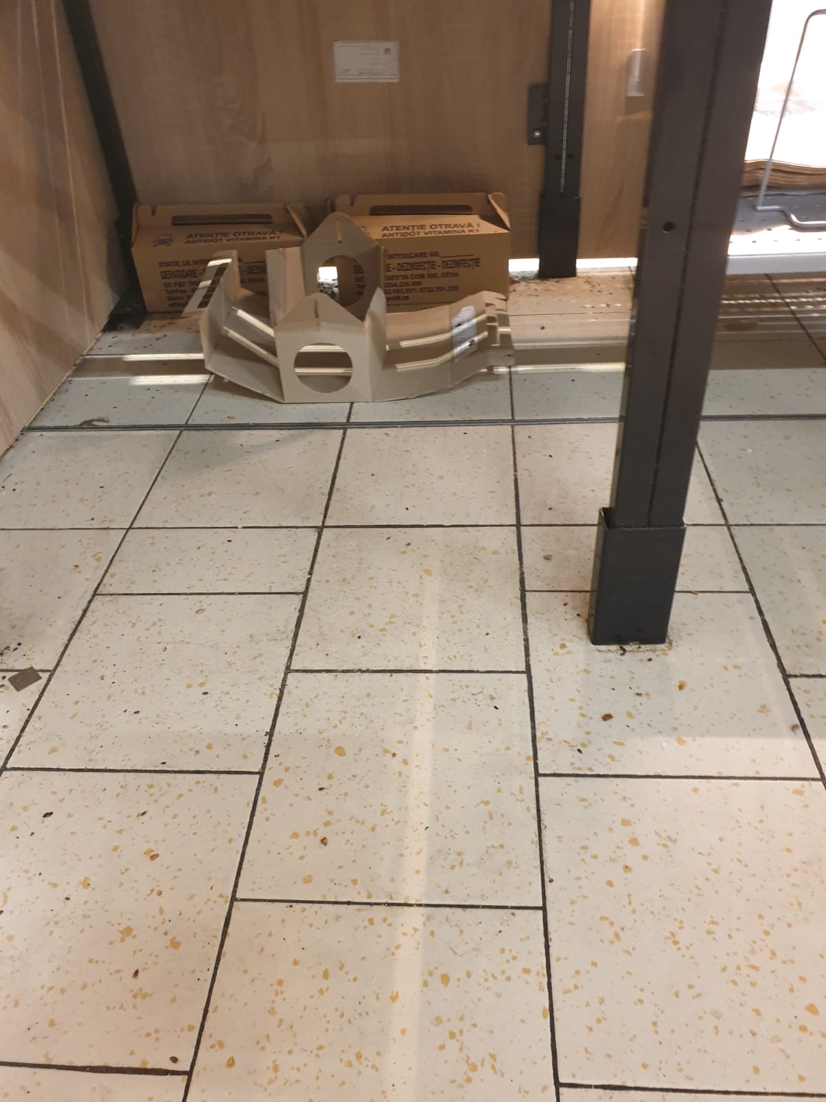 WhatsApp Image 2022-08-24 at 16.32.29