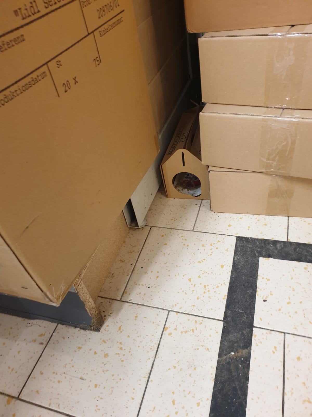 WhatsApp Image 2022-08-24 at 16.32.30