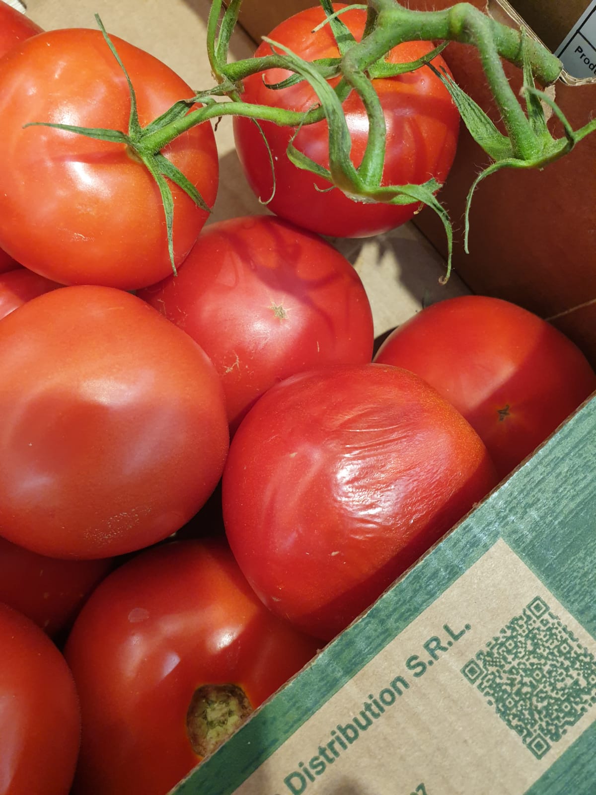 WhatsApp Image 2022-08-24 at 16.32.32