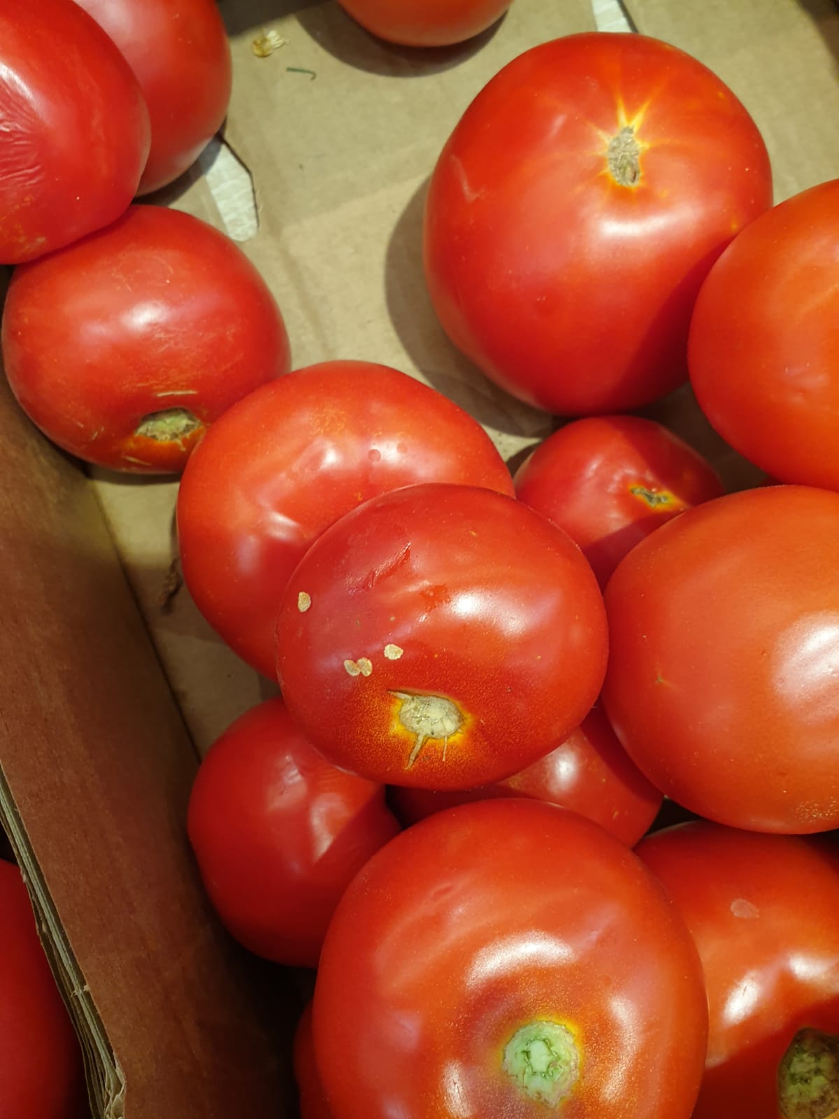 WhatsApp Image 2022-08-24 at 16.32.33 (1)