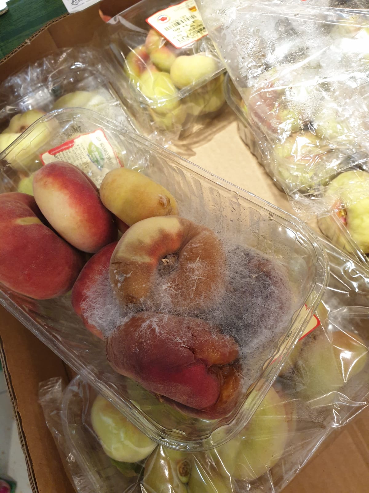 WhatsApp Image 2022-08-24 at 16.32.34 (1)