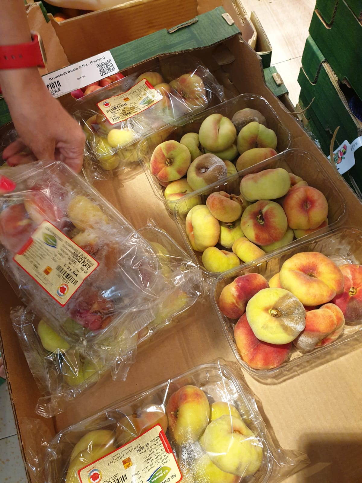 WhatsApp Image 2022-08-24 at 16.32.34 (2)