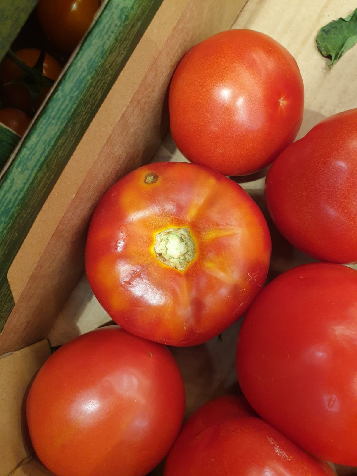 WhatsApp Image 2022-08-24 at 16.32.34