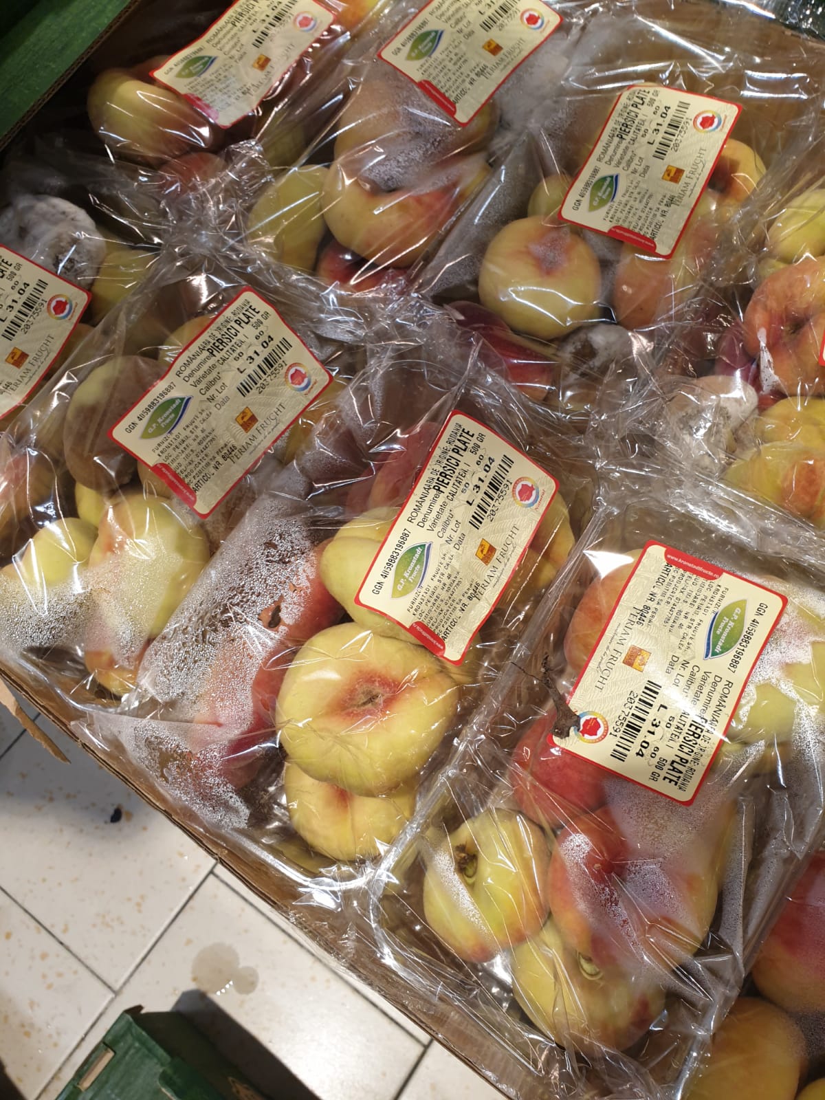 WhatsApp Image 2022-08-24 at 16.32.35 (1)