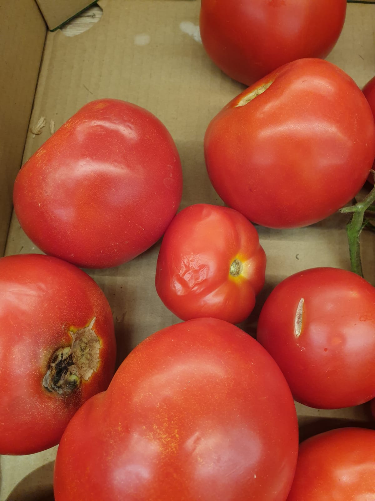 WhatsApp Image 2022-08-24 at 16.32.35