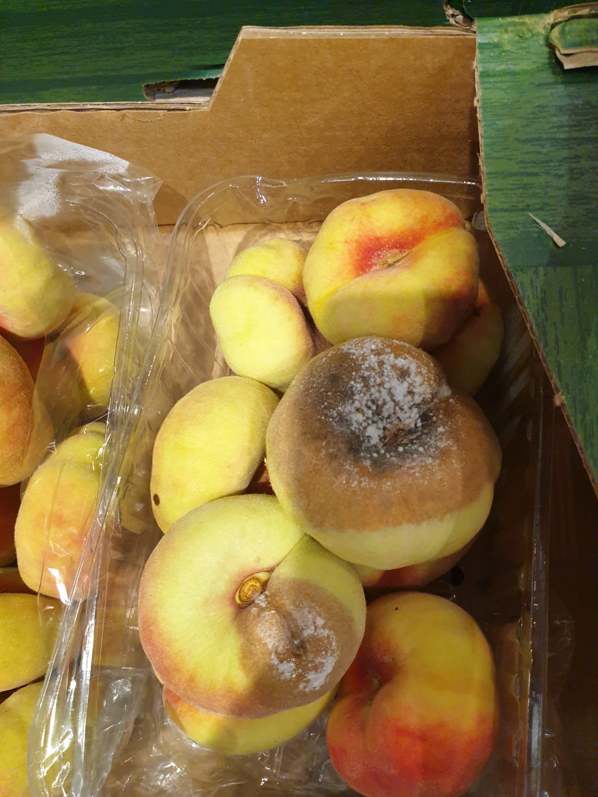 WhatsApp Image 2022-08-24 at 16.32.36 (1)