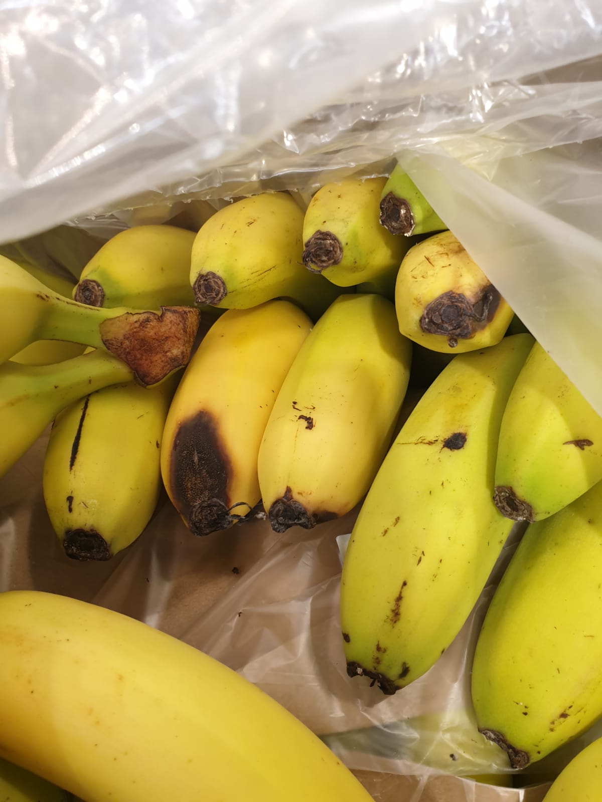 WhatsApp Image 2022-08-24 at 16.32.36