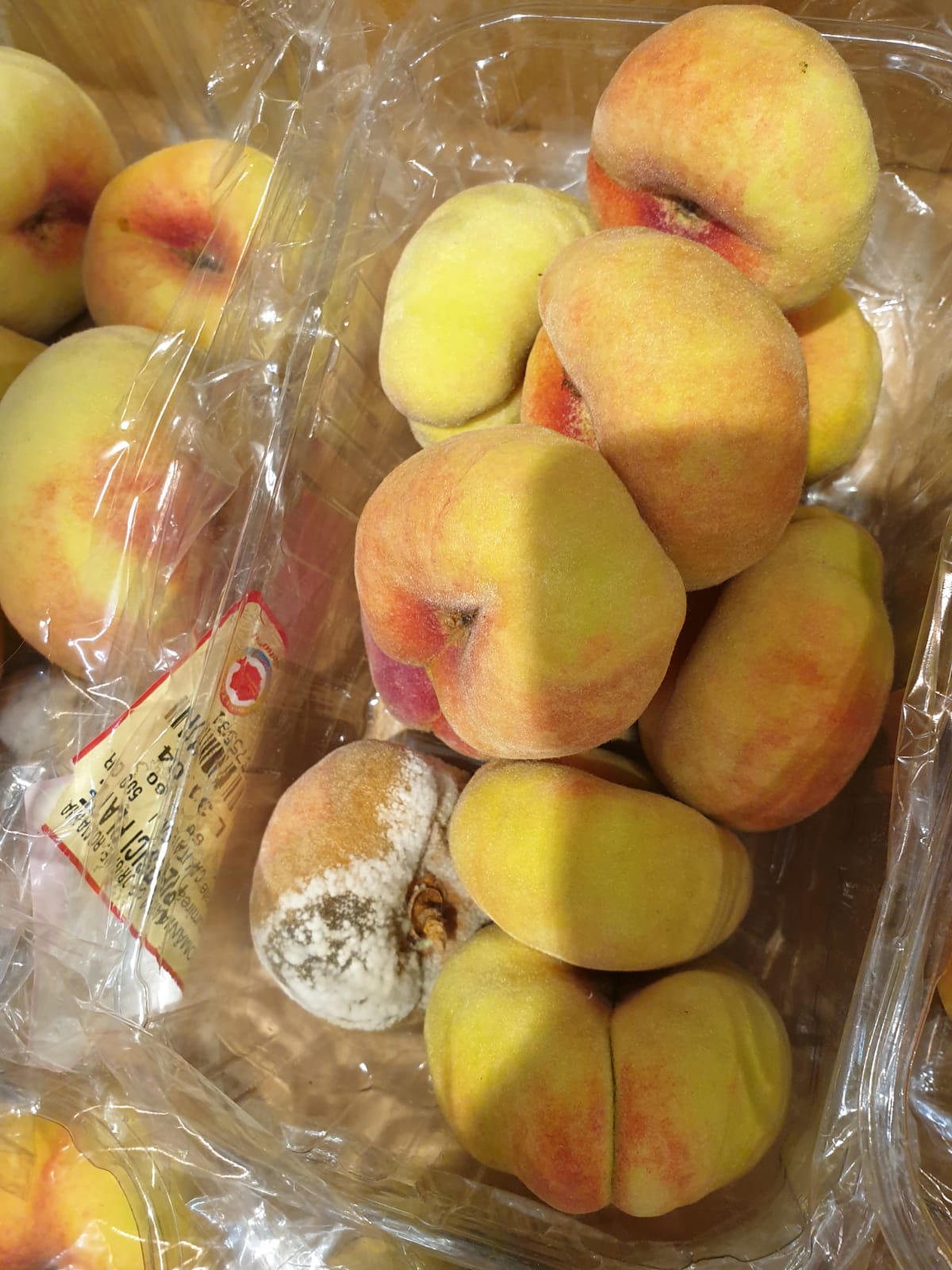 WhatsApp Image 2022-08-24 at 16.32.37 (1)