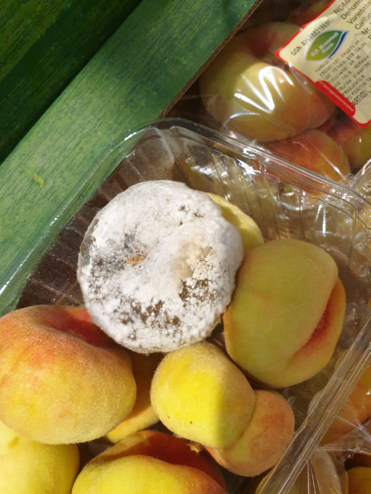 WhatsApp Image 2022-08-24 at 16.32.38