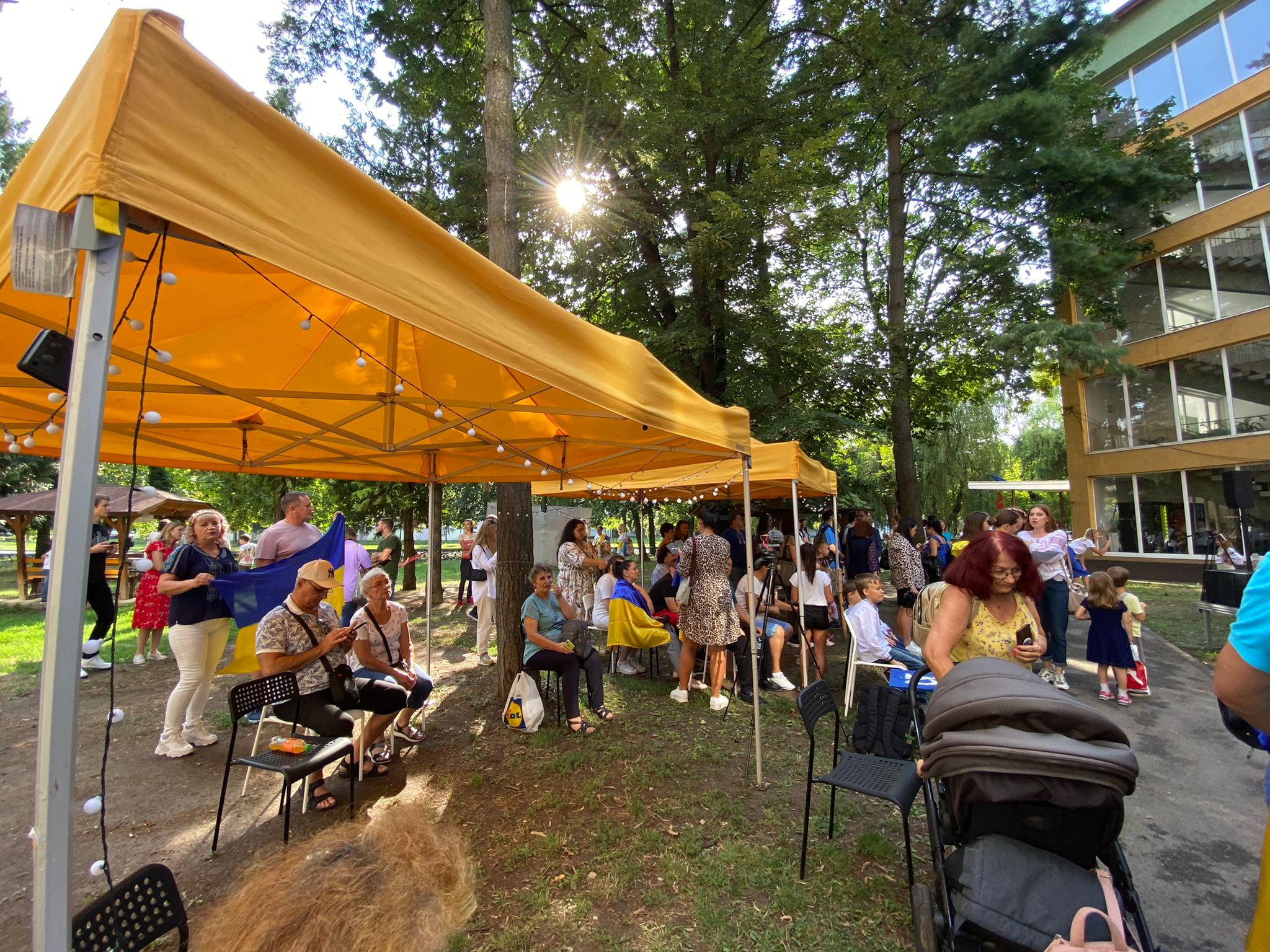 pictura murala ucraina (6)