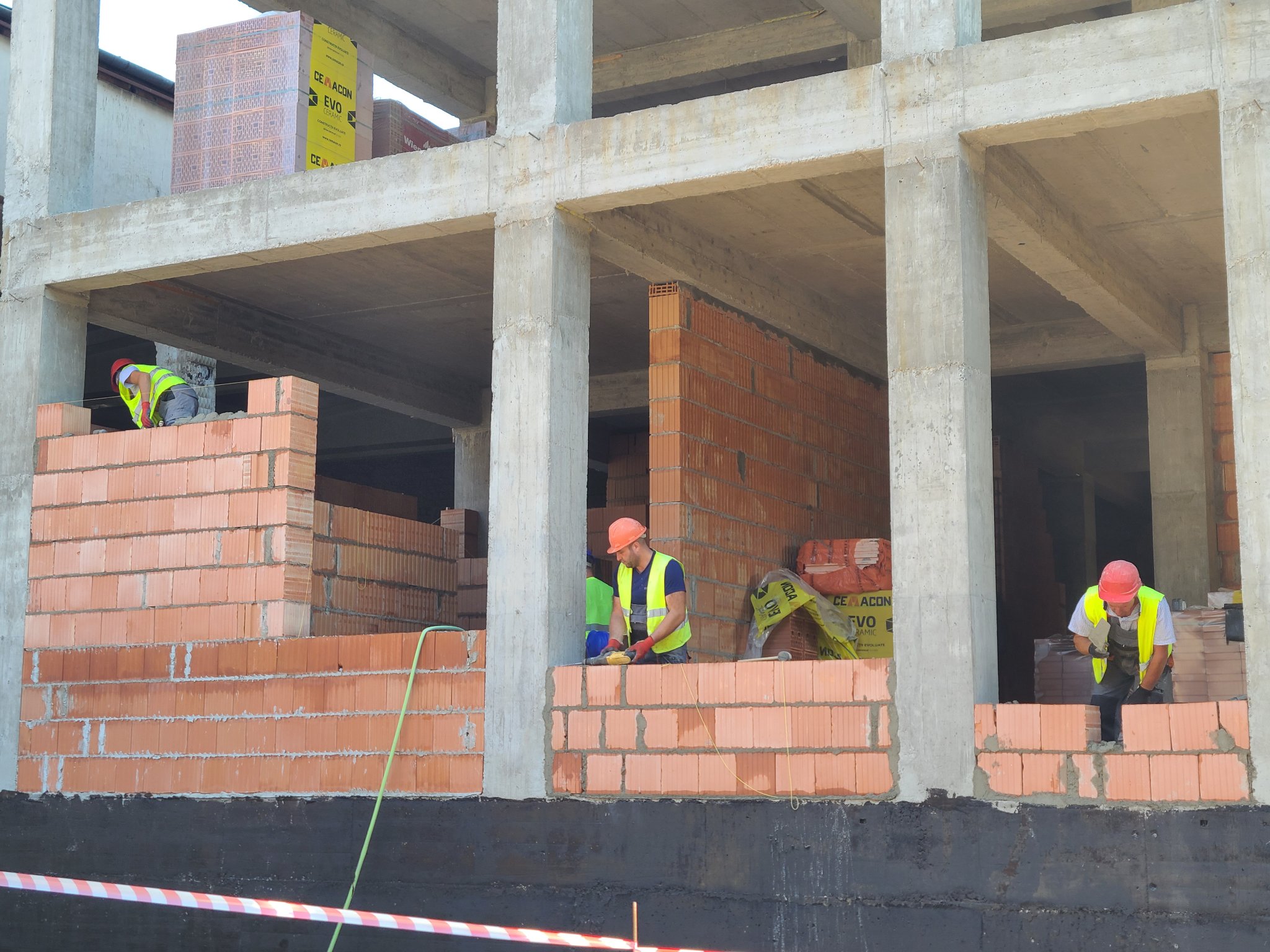 clinica de balenologie august 2022 (1)