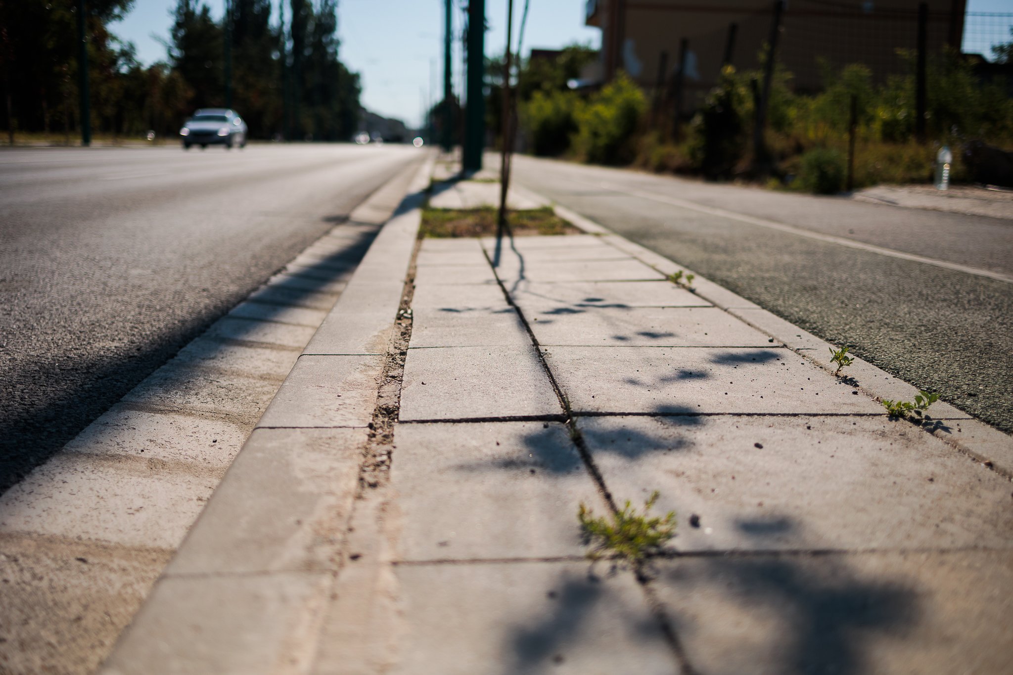 strada lidia prezan august 2022 (10)