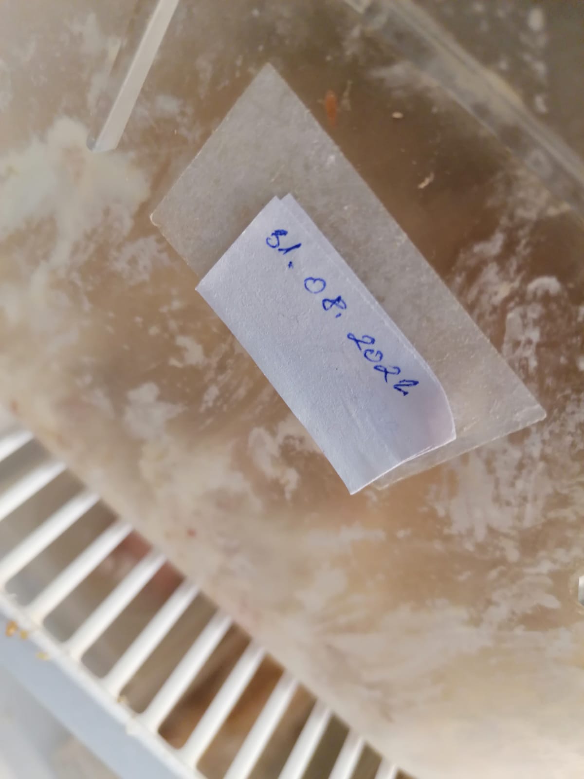 WhatsApp Image 2022-09-07 at 20.49.22 (2)