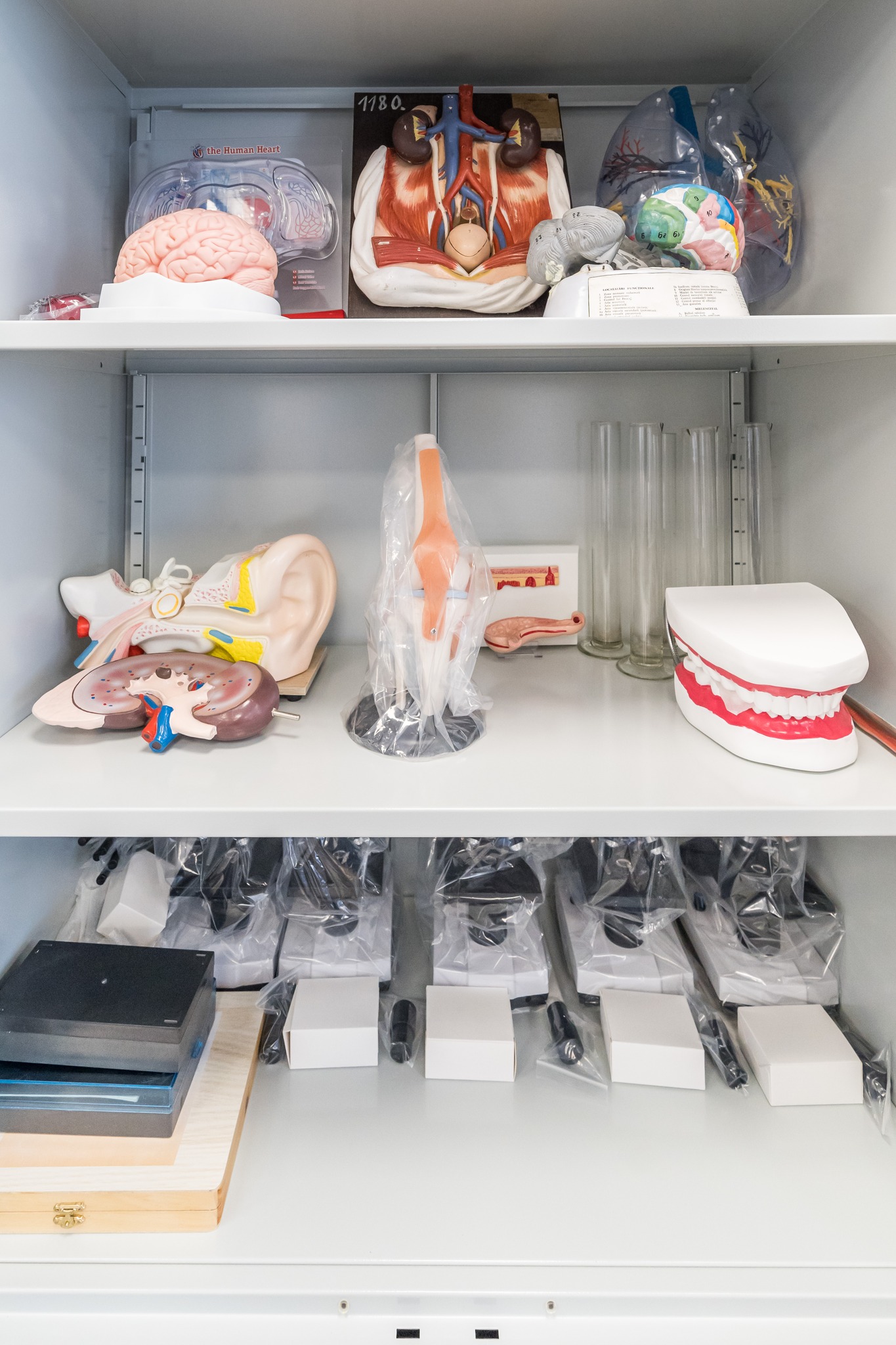 304976690_1028960627775704_6769899461375210568_n