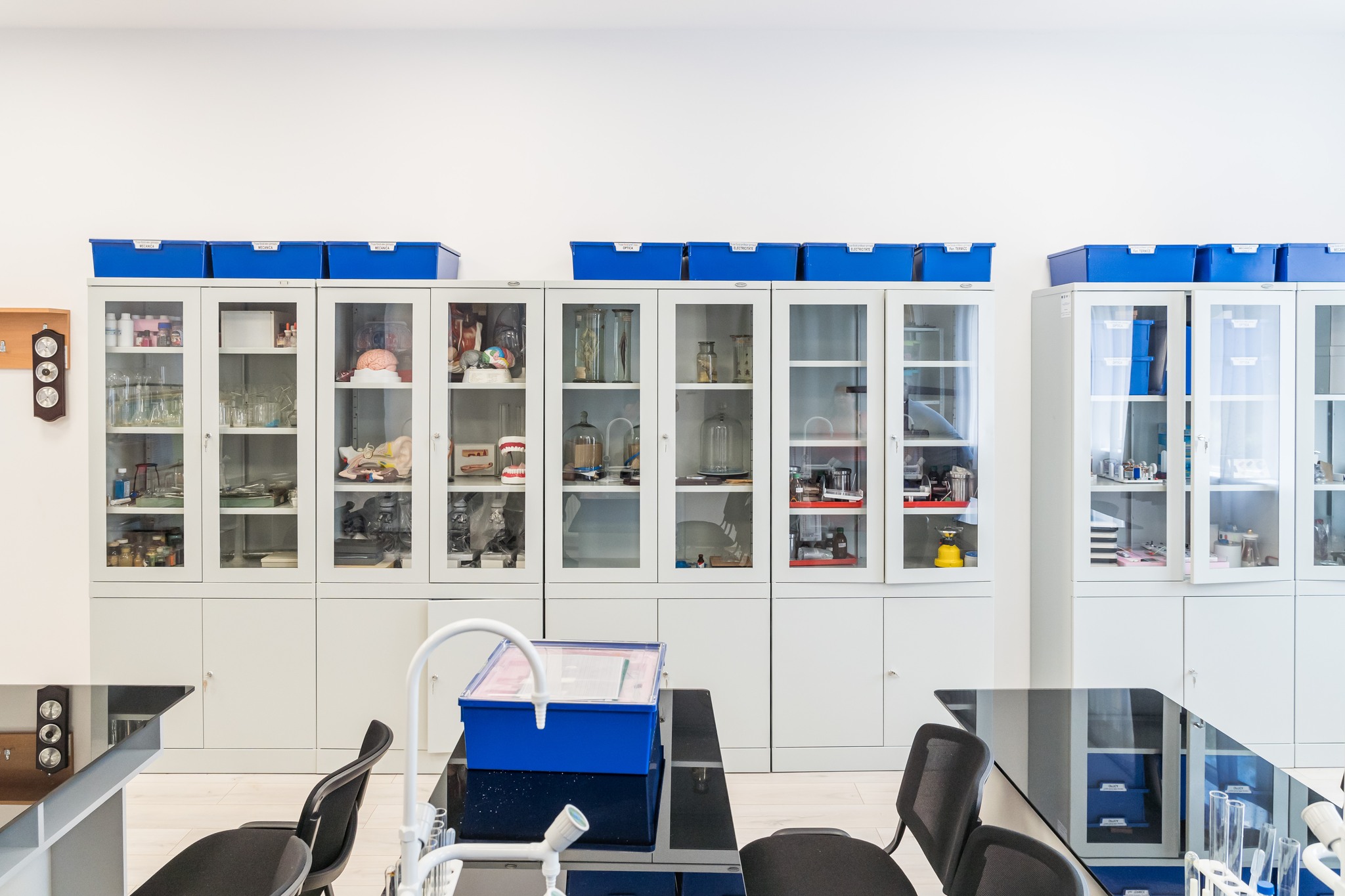 305121732_1028960934442340_1700196871106693089_n