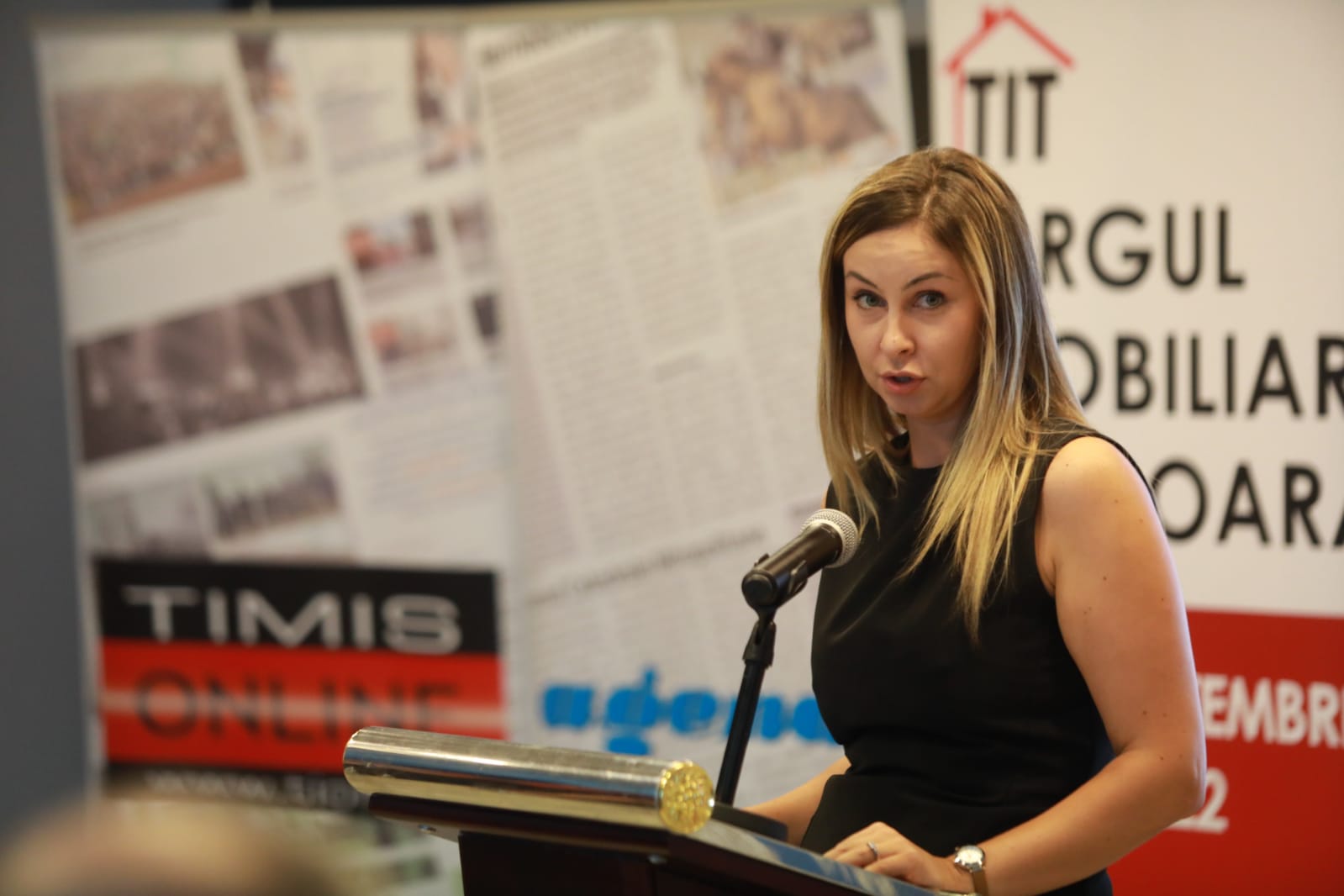 tit targul imobiliar (19)
