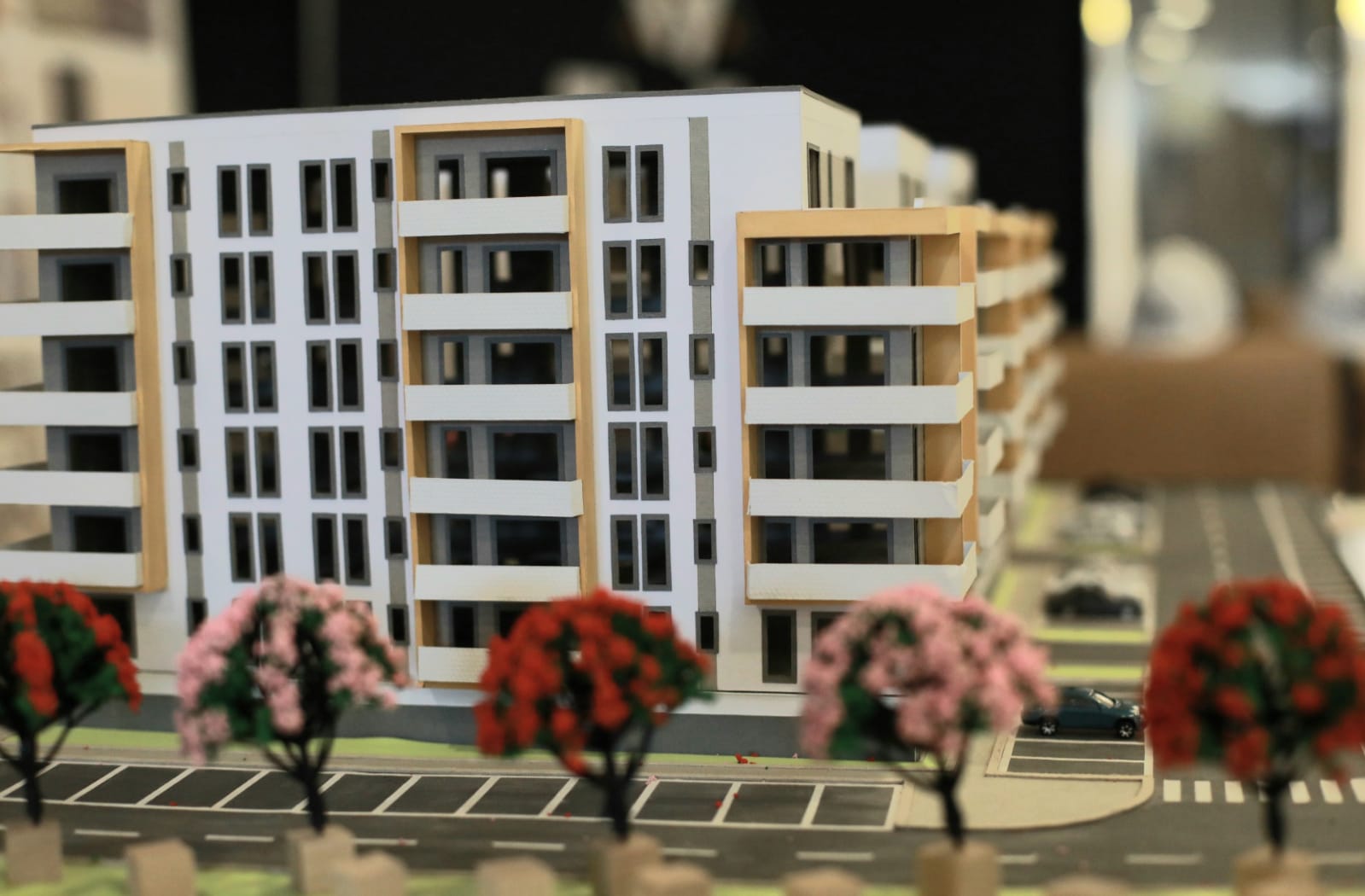 targul imobiliar timisoara tit 10 sept (4)