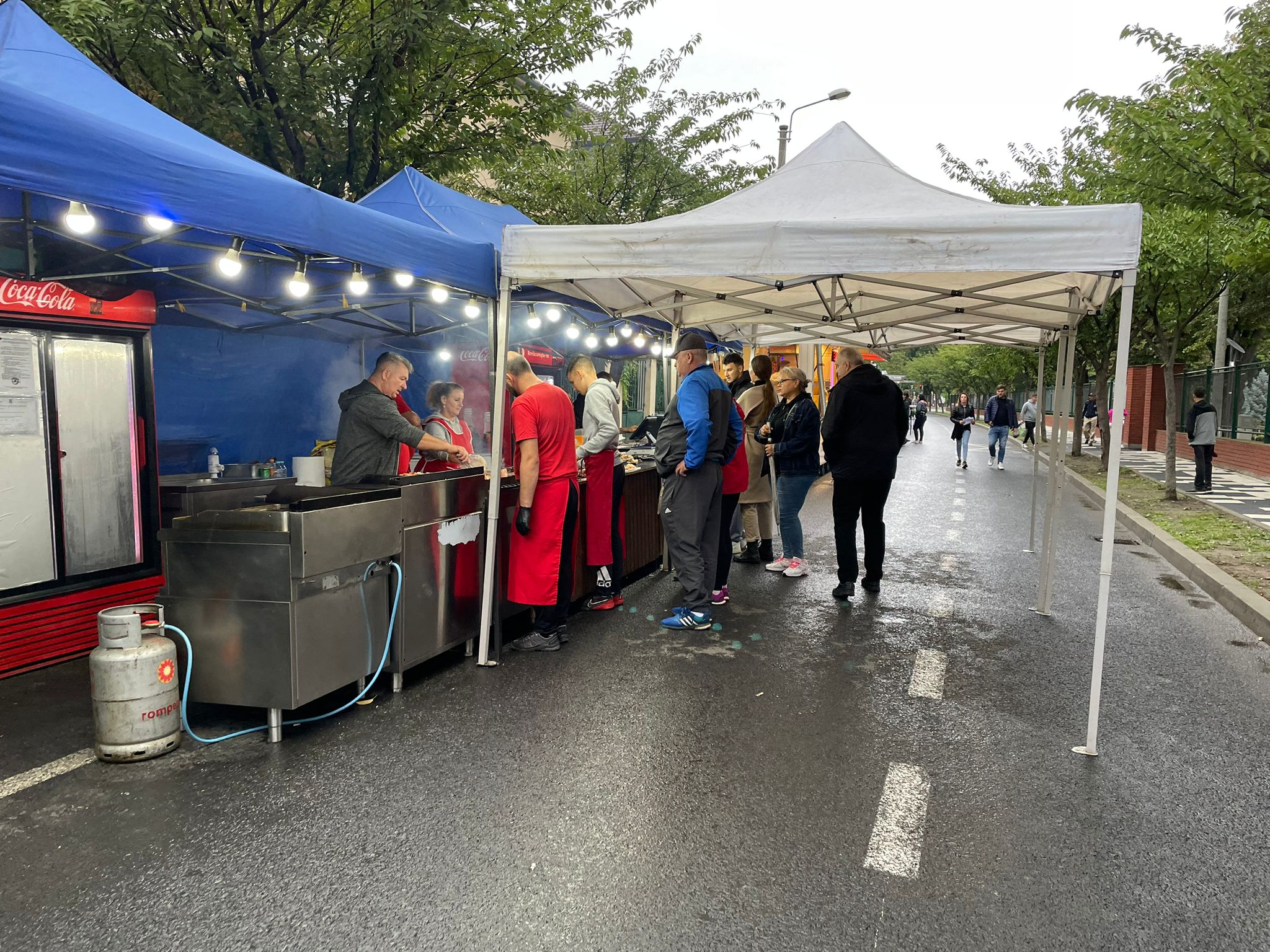 ziua minoritatilor timisoara parcul rozelor (13)