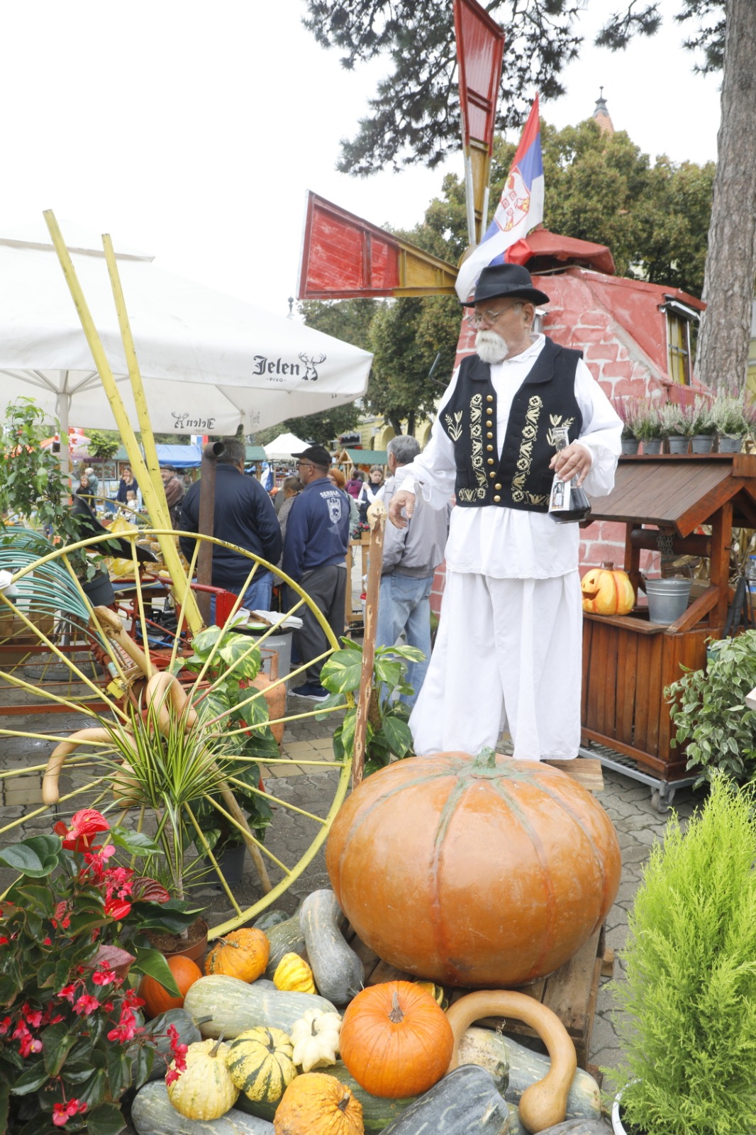 Festivalul Dovleacului de la Kikinda 2022 (1)