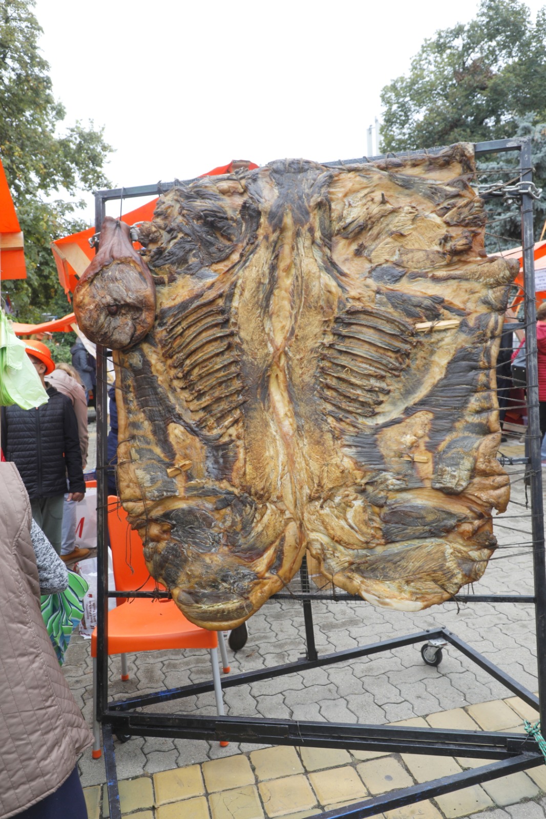 Festivalul Dovleacului de la Kikinda 2022 (2)