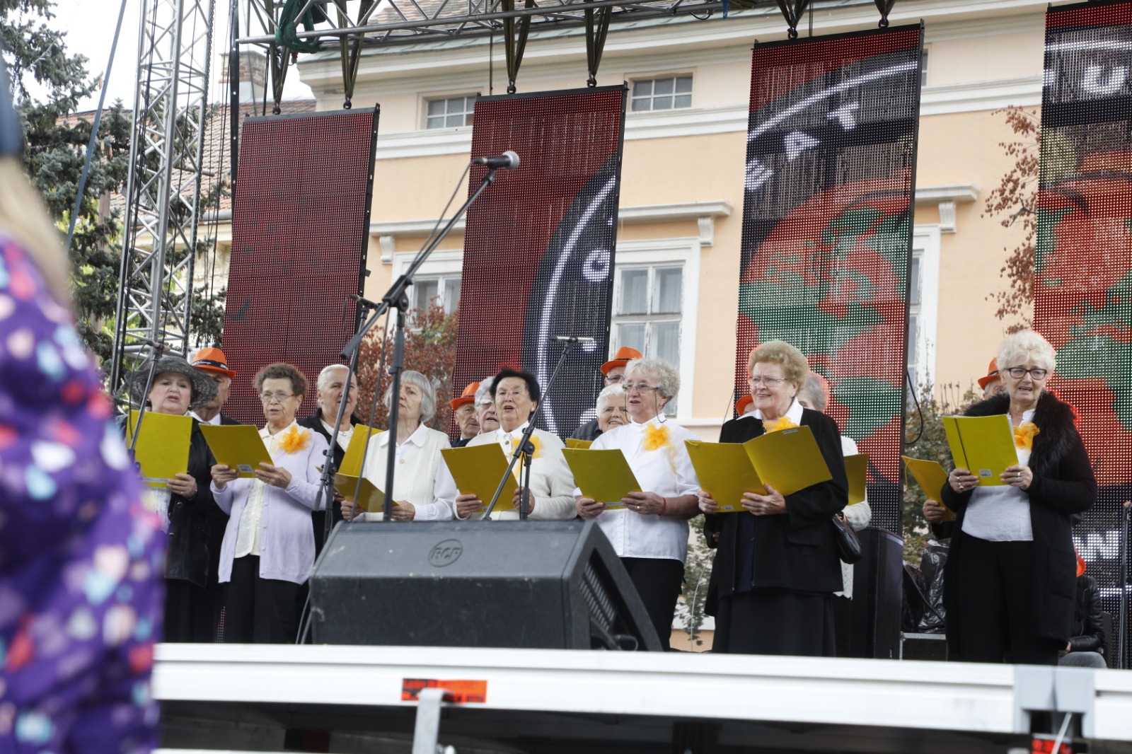 Festivalul Dovleacului de la Kikinda 2022 (21)