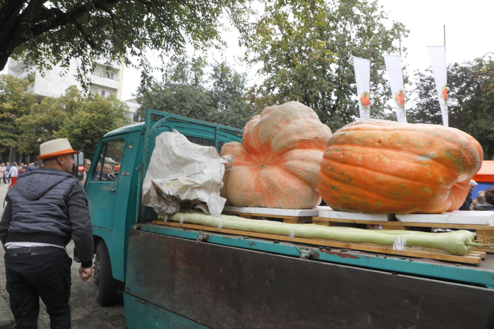 Festivalul Dovleacului de la Kikinda 2022 (23)