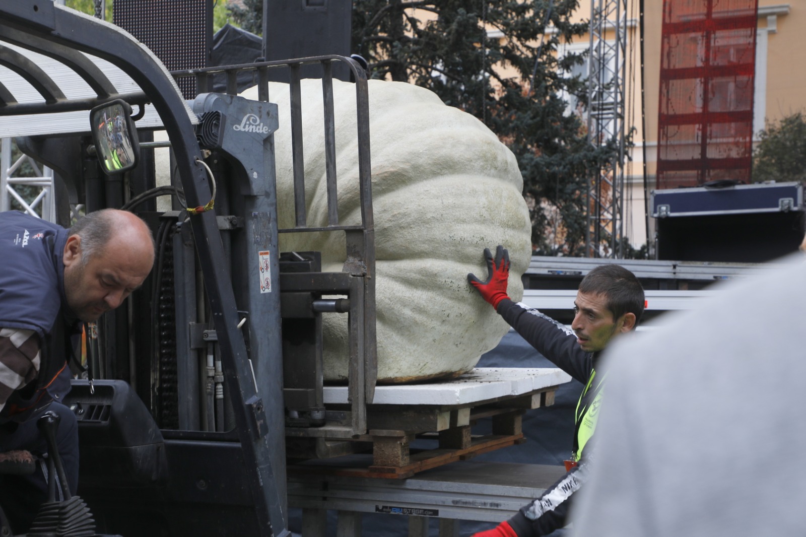 Festivalul Dovleacului de la Kikinda 2022 (30)