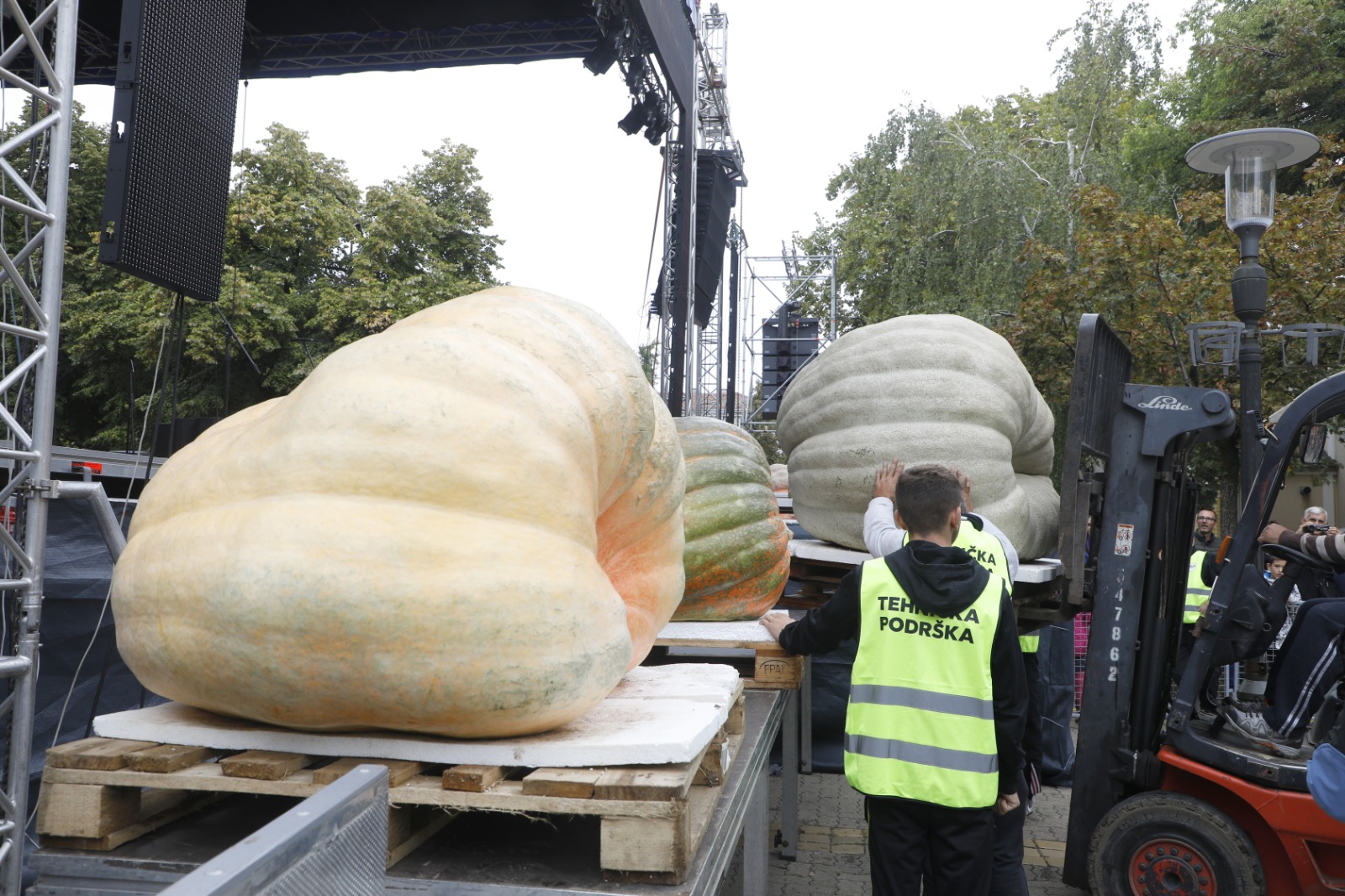 Festivalul Dovleacului de la Kikinda 2022 (33)